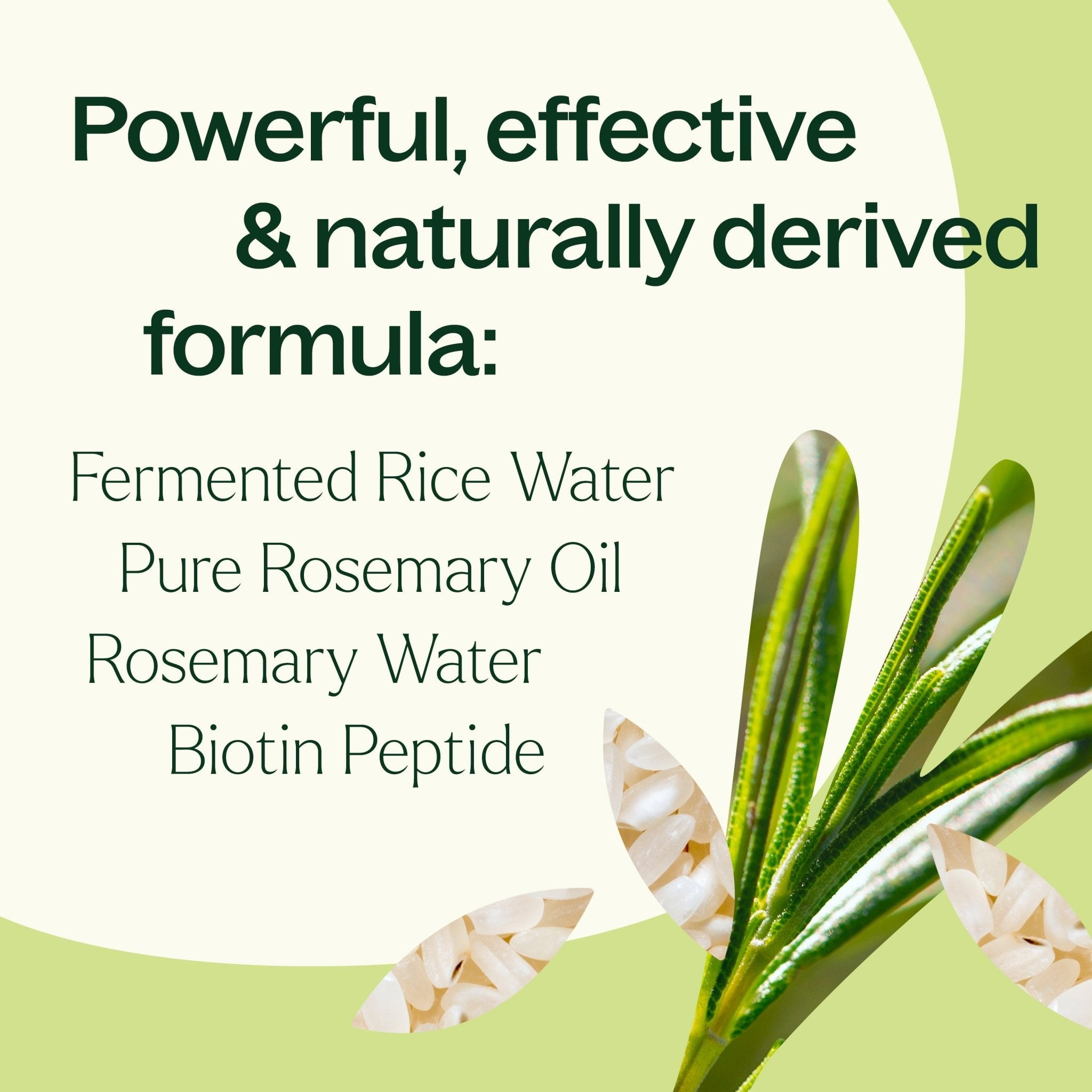 Rosemary & Rice Water Daily Hair Growth Spray Plant Therapy