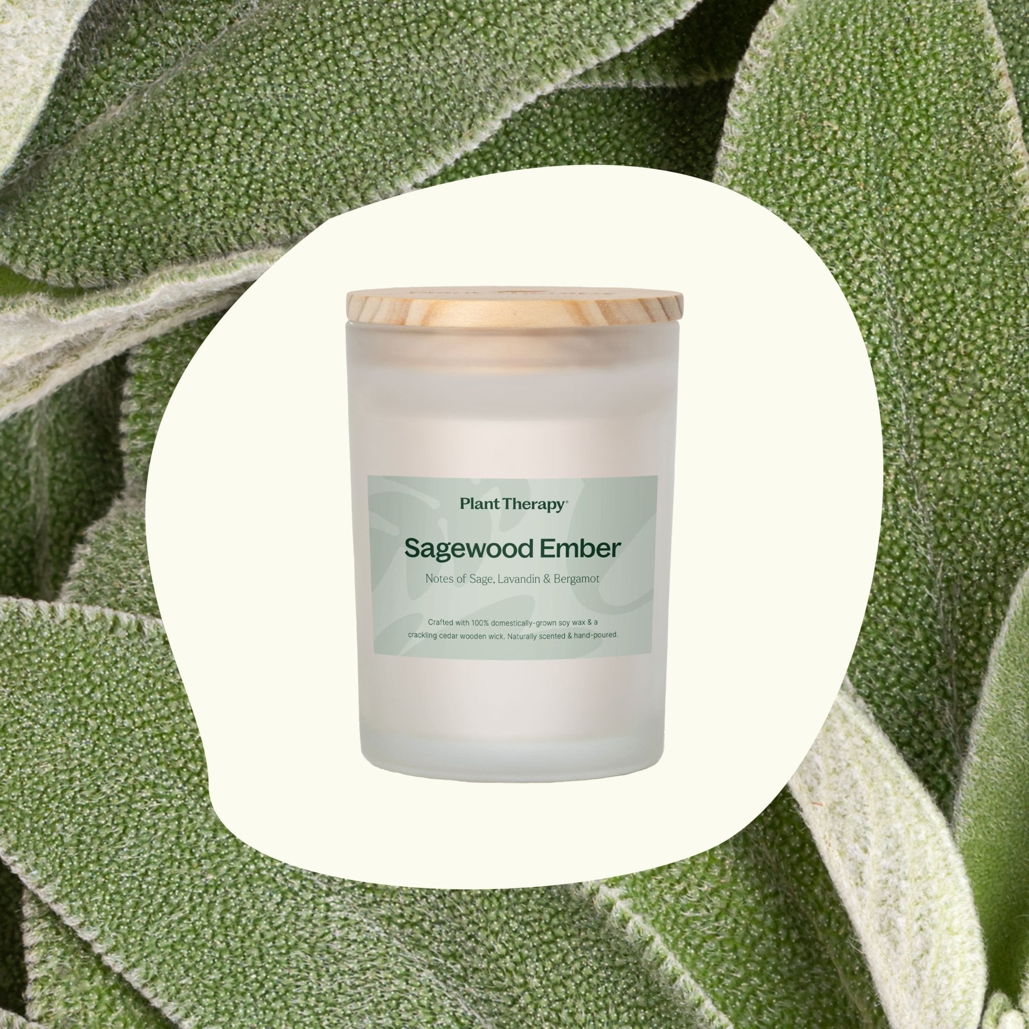Sagewood Ember Naturally Scented Candle Plant Therapy