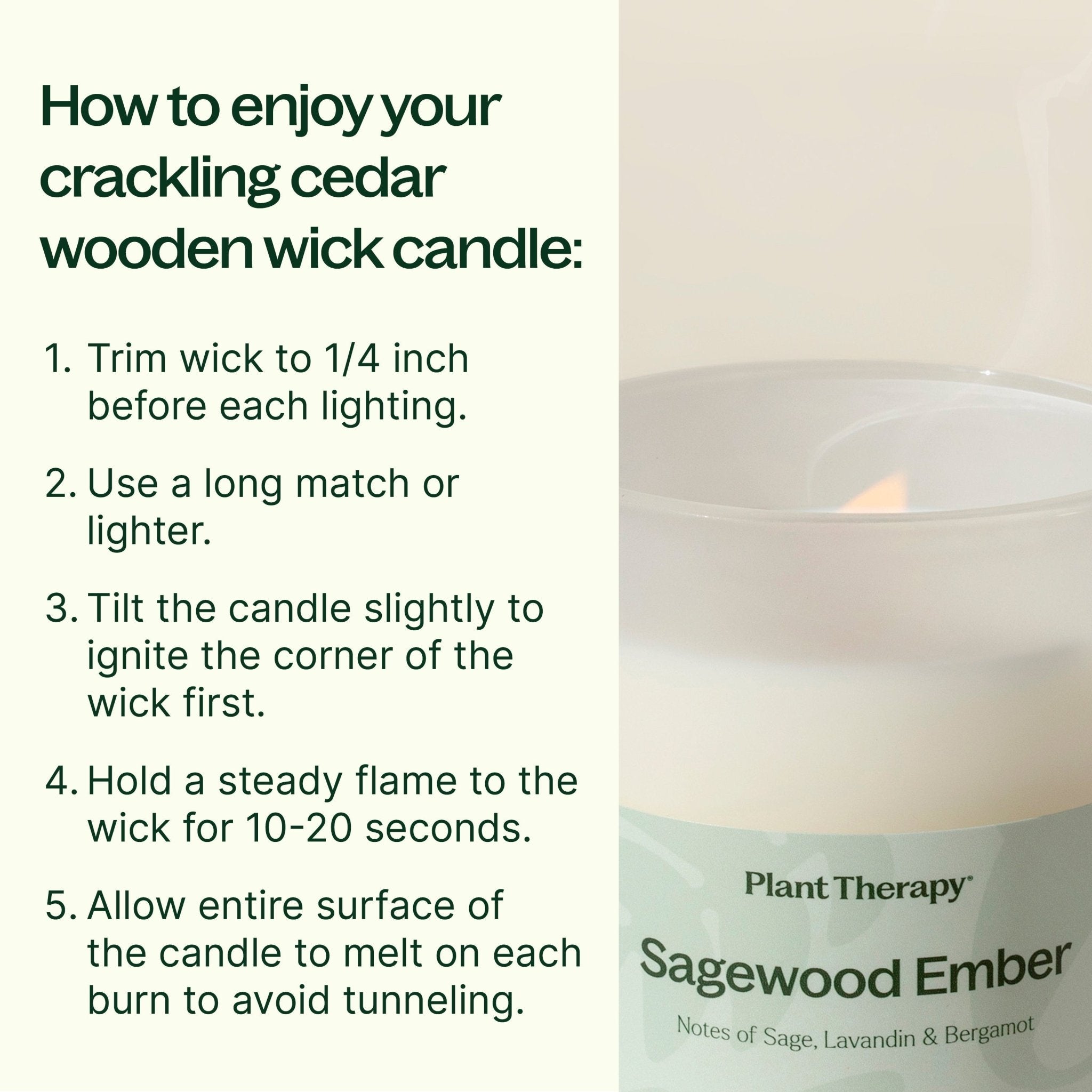 Sagewood Ember Naturally Scented Candle Plant Therapy