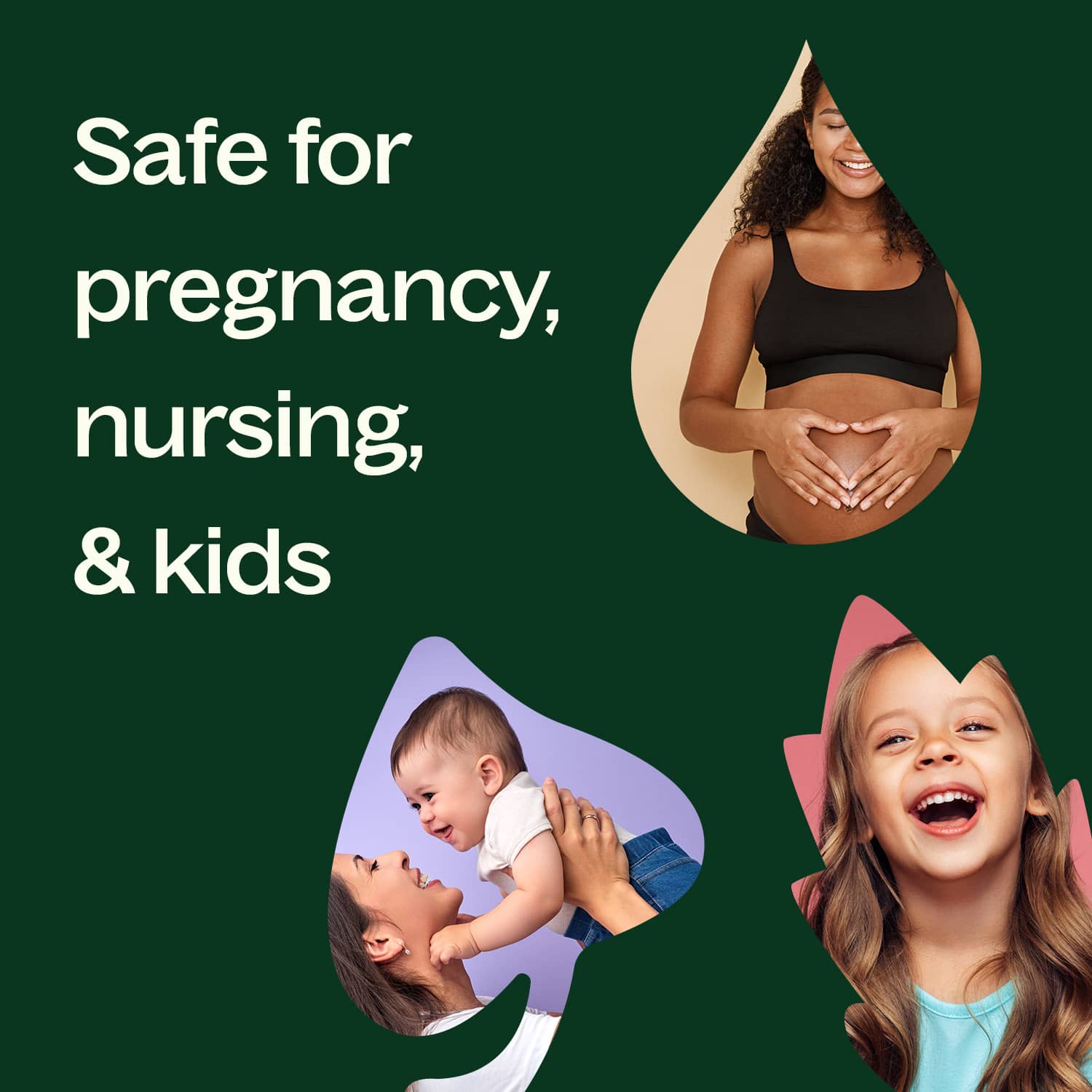 Scots Pine Essential Oil Plant Therapy