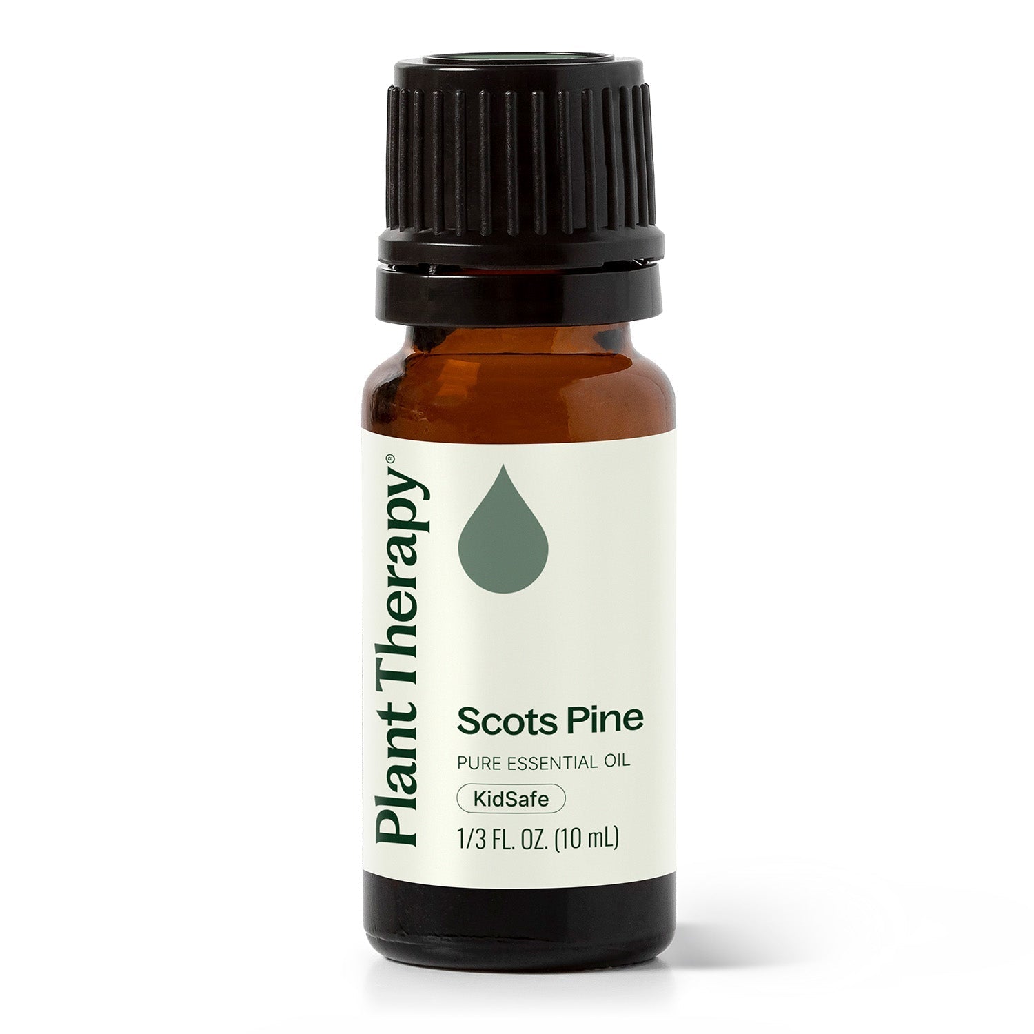 Scots Pine Essential Oil Plant Therapy