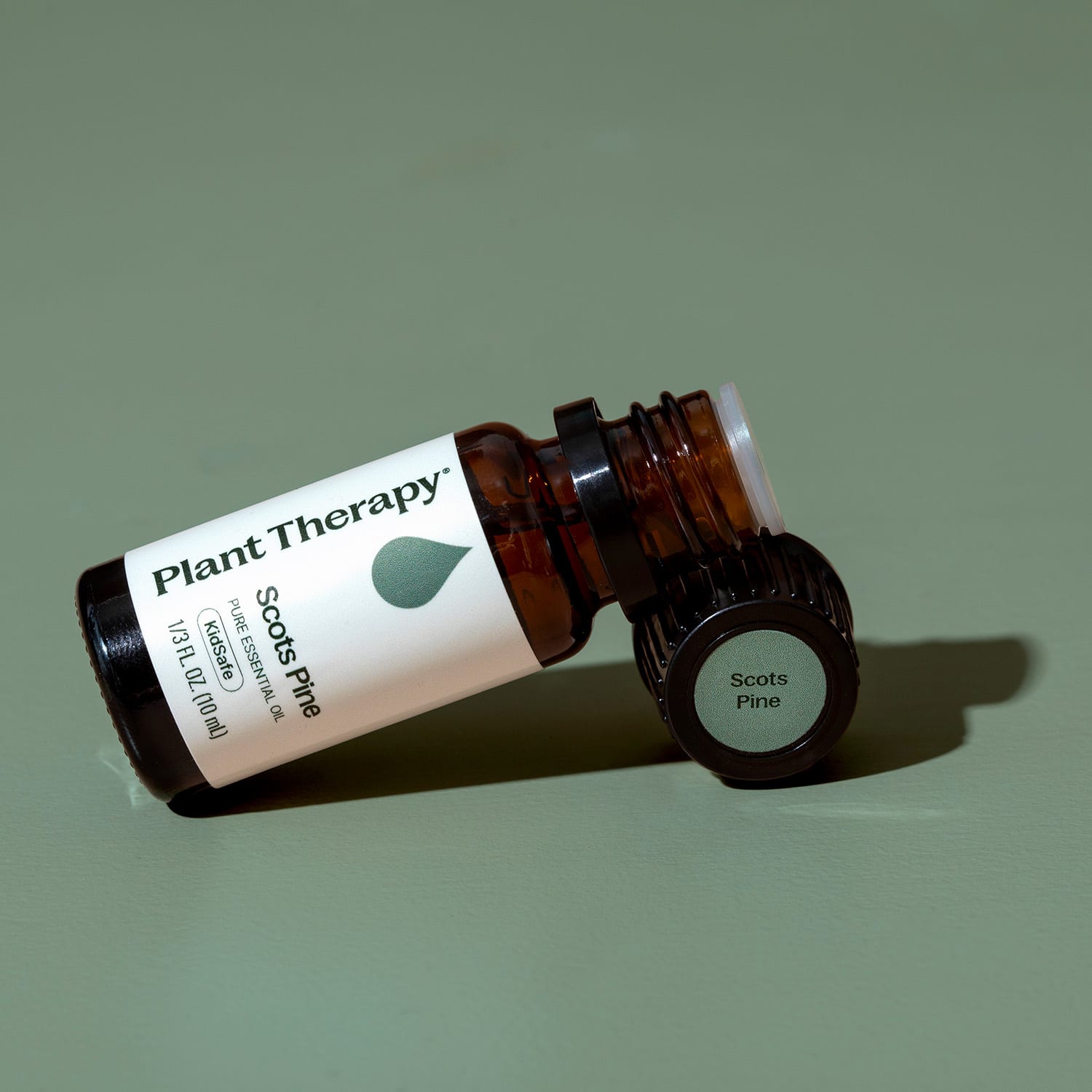 Scots Pine Essential Oil Plant Therapy