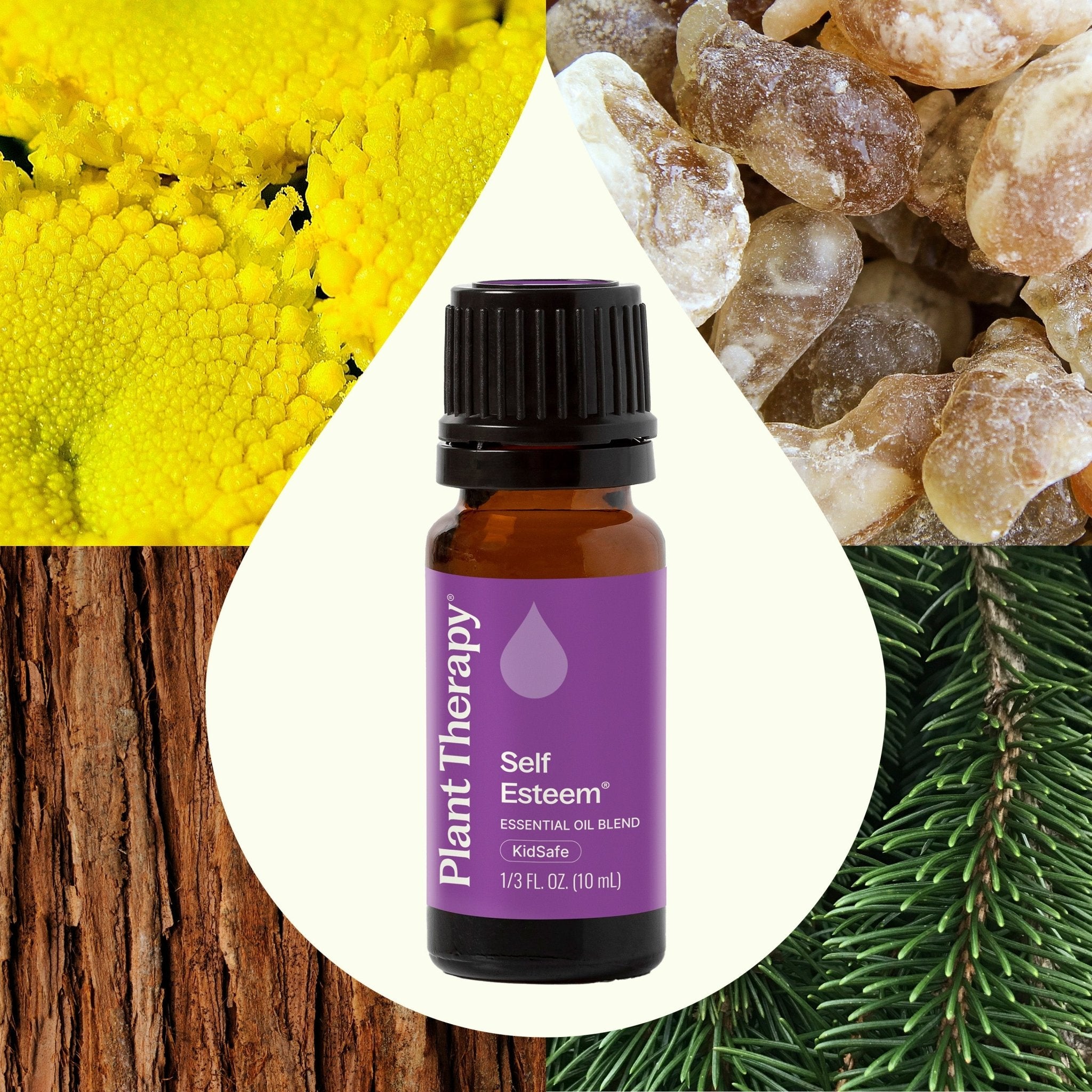Self Esteem Essential Oil Blend Plant Therapy