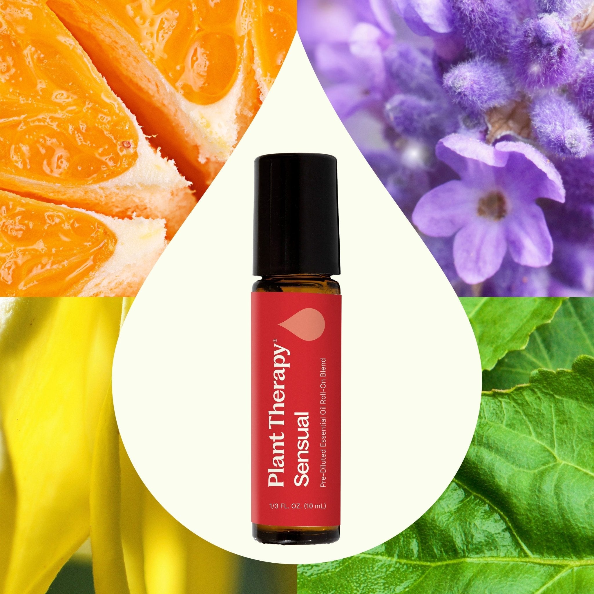 Sensual Essential Oil Blend Pre - Diluted Roll - On Plant Therapy