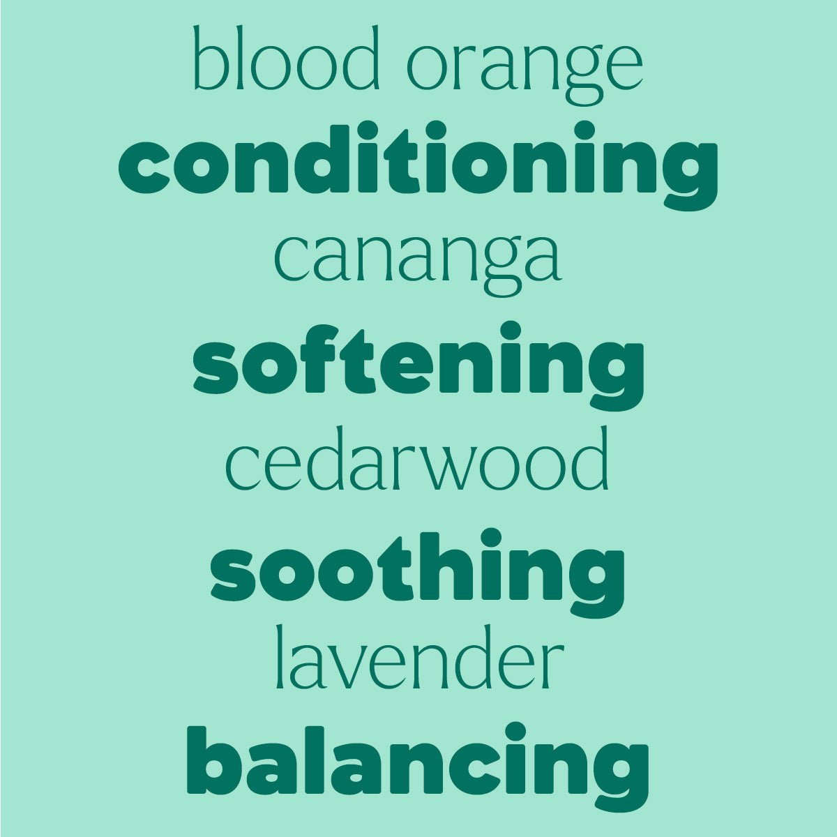 Shampoo Booster Essential Oil Blend Plant Therapy