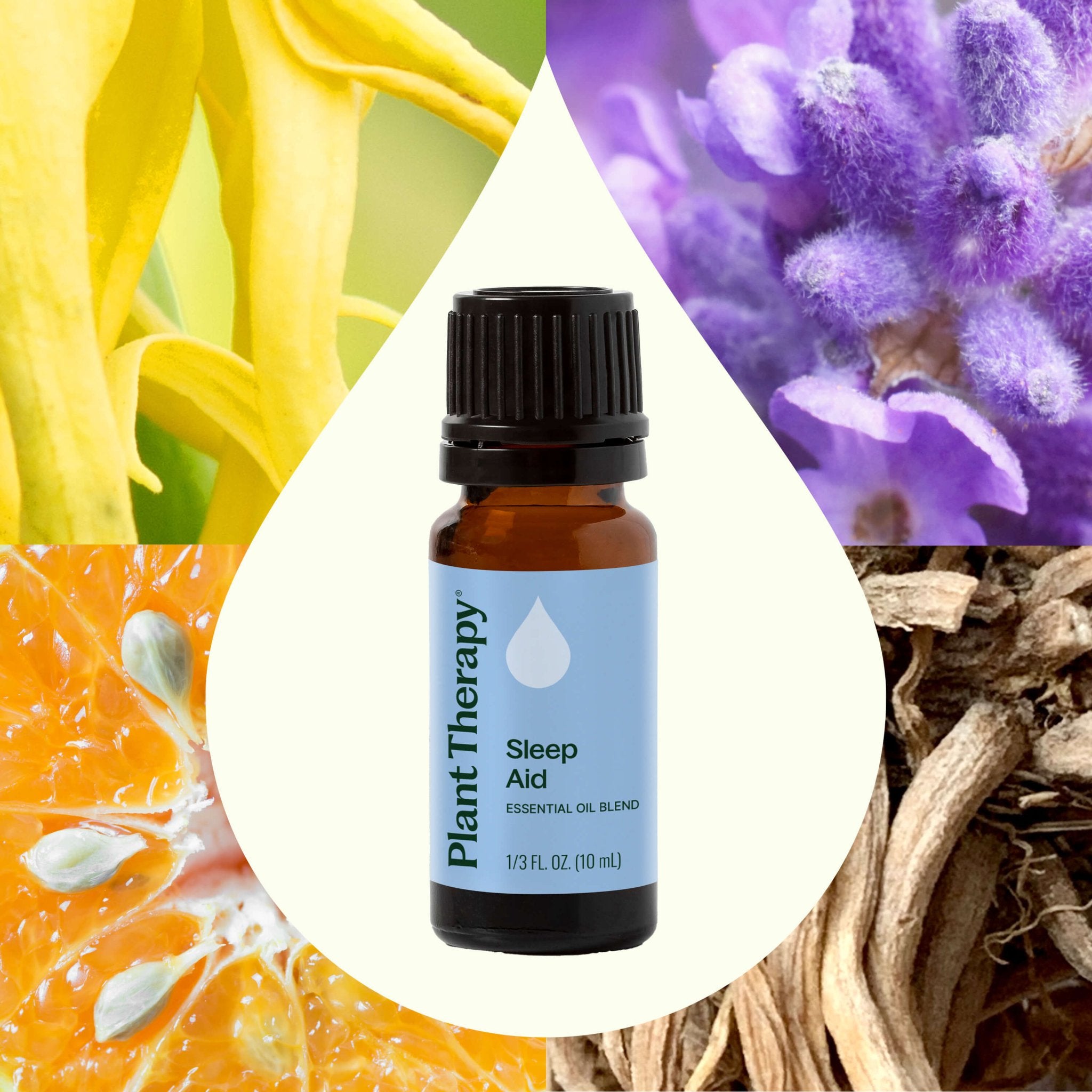 Sleep Aid Essential Oil Blend Plant Therapy