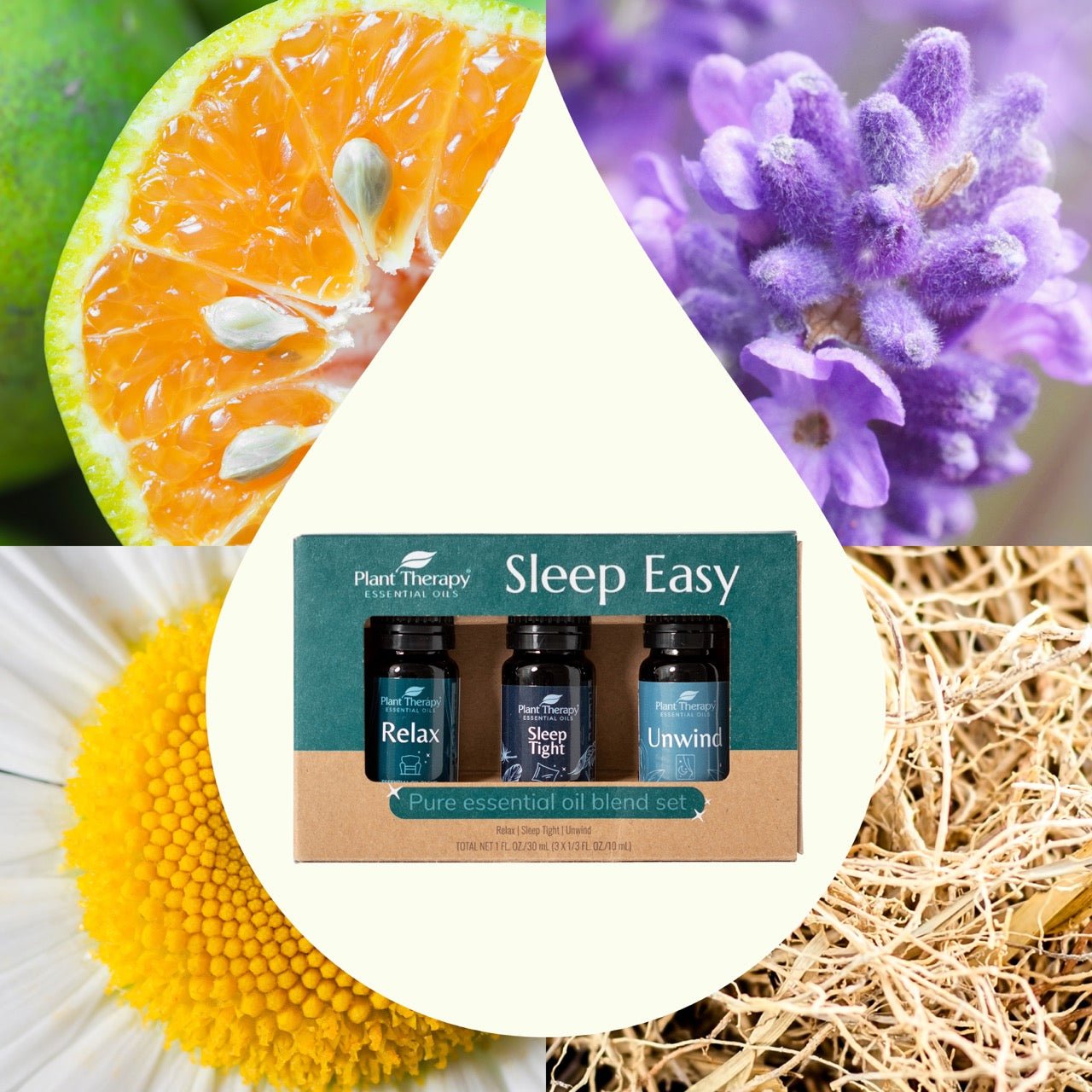 Sleep Easy Essential Oil Blend Set Plant Therapy