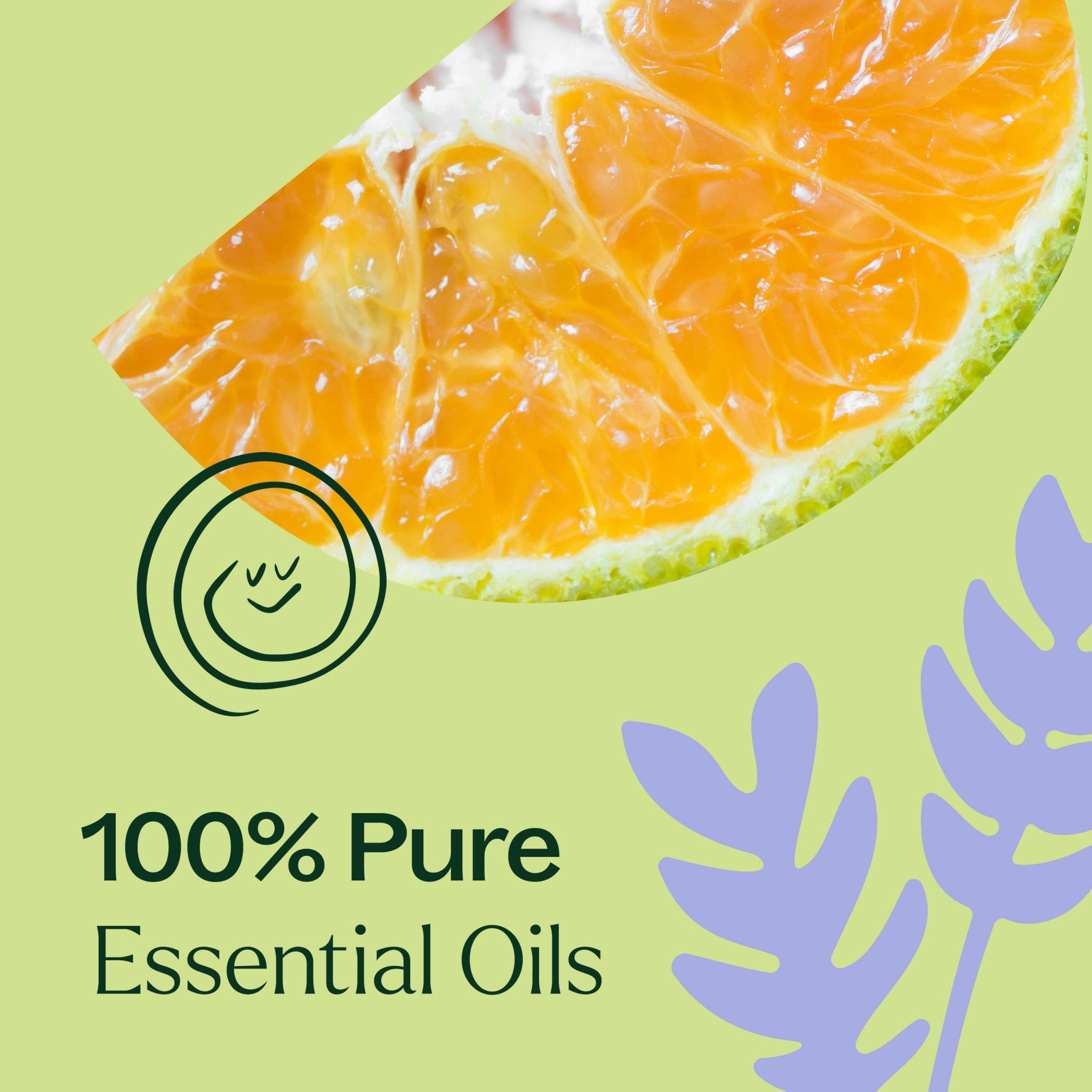 Sleep Tight Essential Oil Blend Plant Therapy