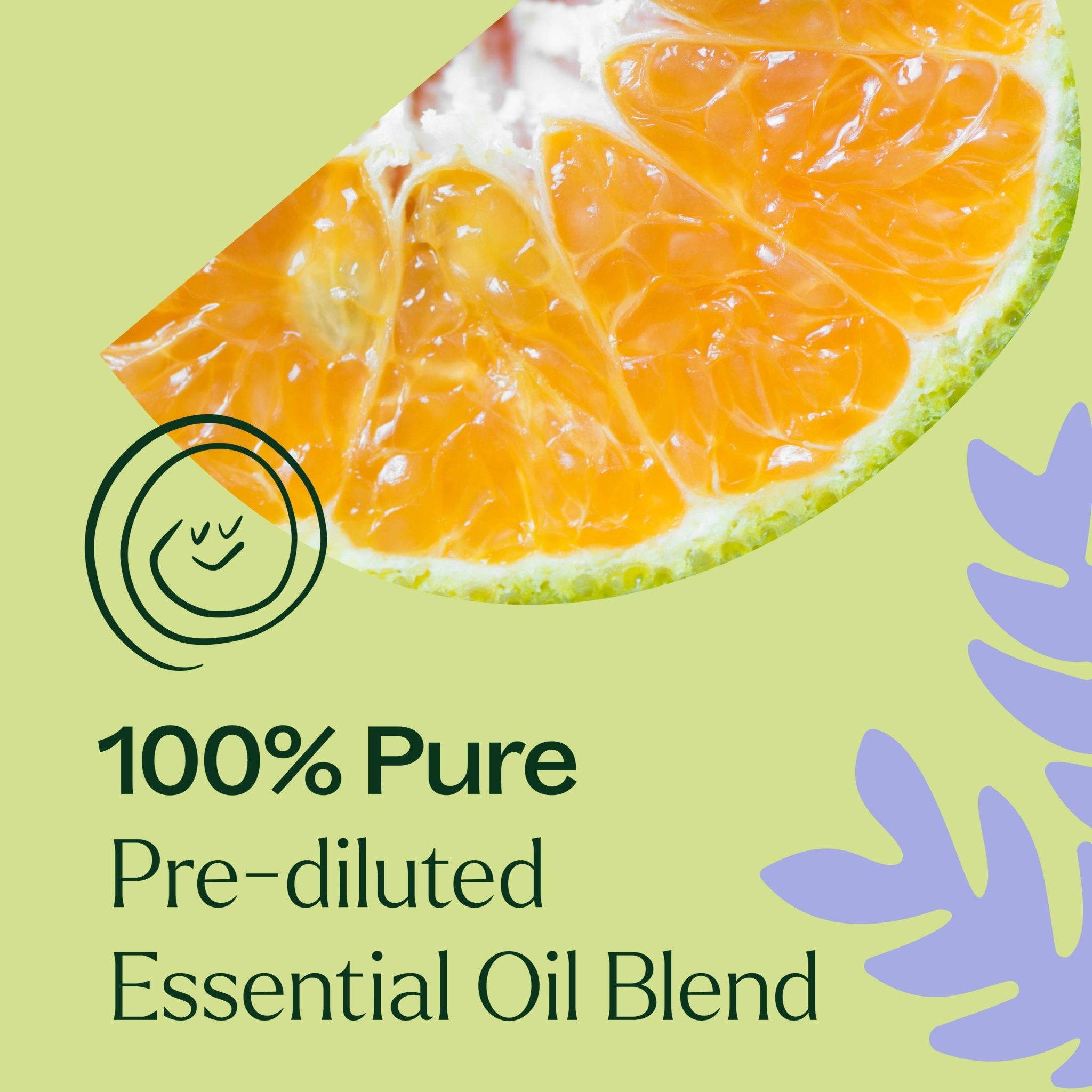 Sleep Tight Essential Oil Blend Pre - Diluted Roll - On Plant Therapy