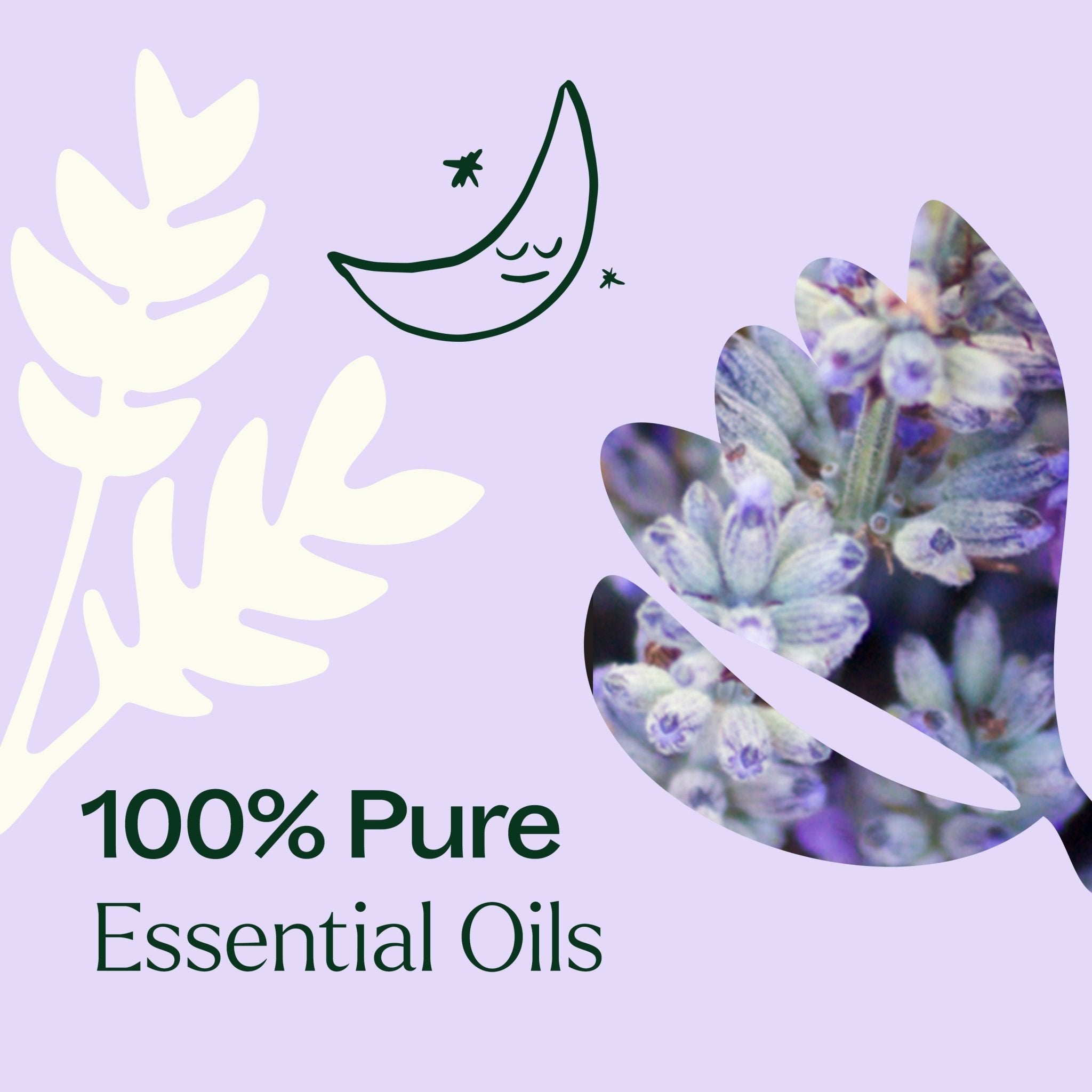 Sparkling Lavender Laundry Essential Oil Blend Plant Therapy