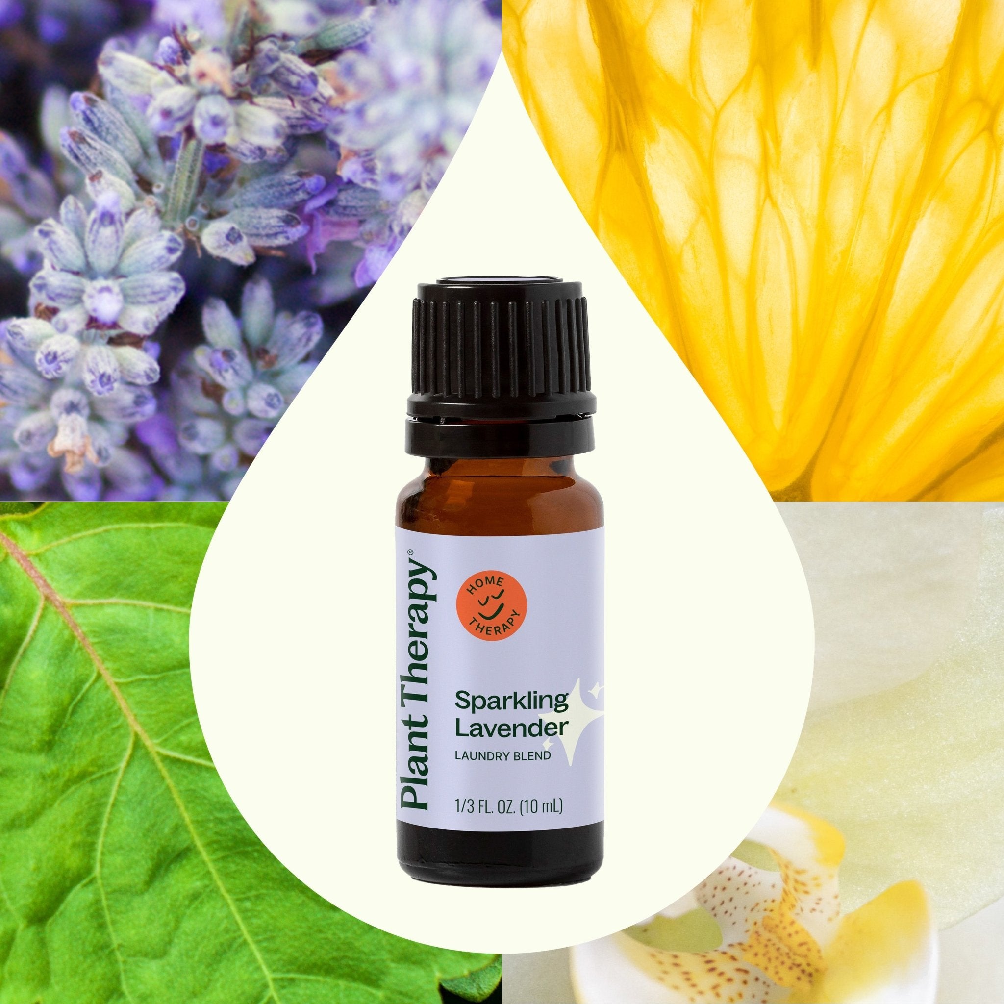 Sparkling Lavender Laundry Essential Oil Blend Plant Therapy