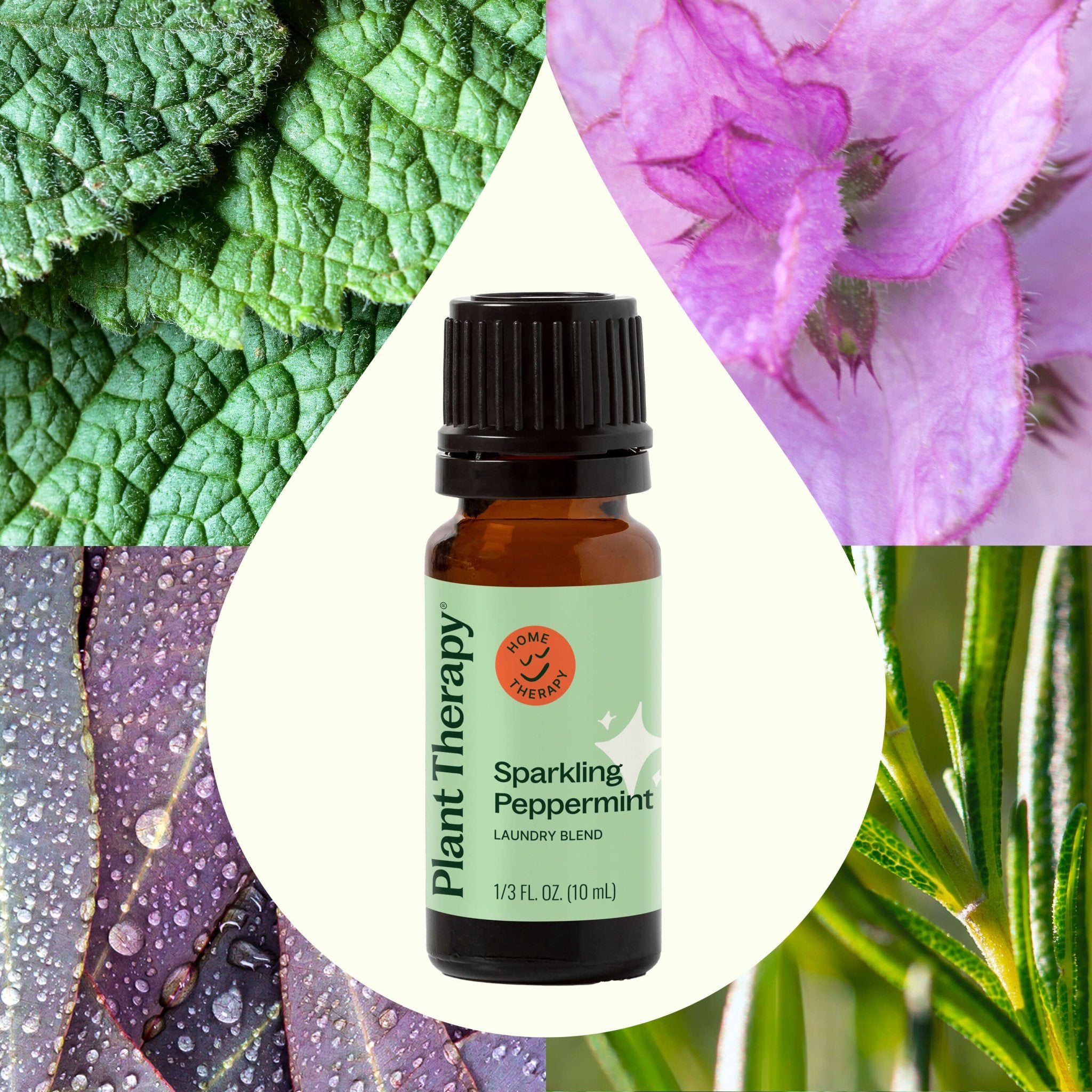 Sparkling Peppermint Laundry Essential Oil Blend Plant Therapy