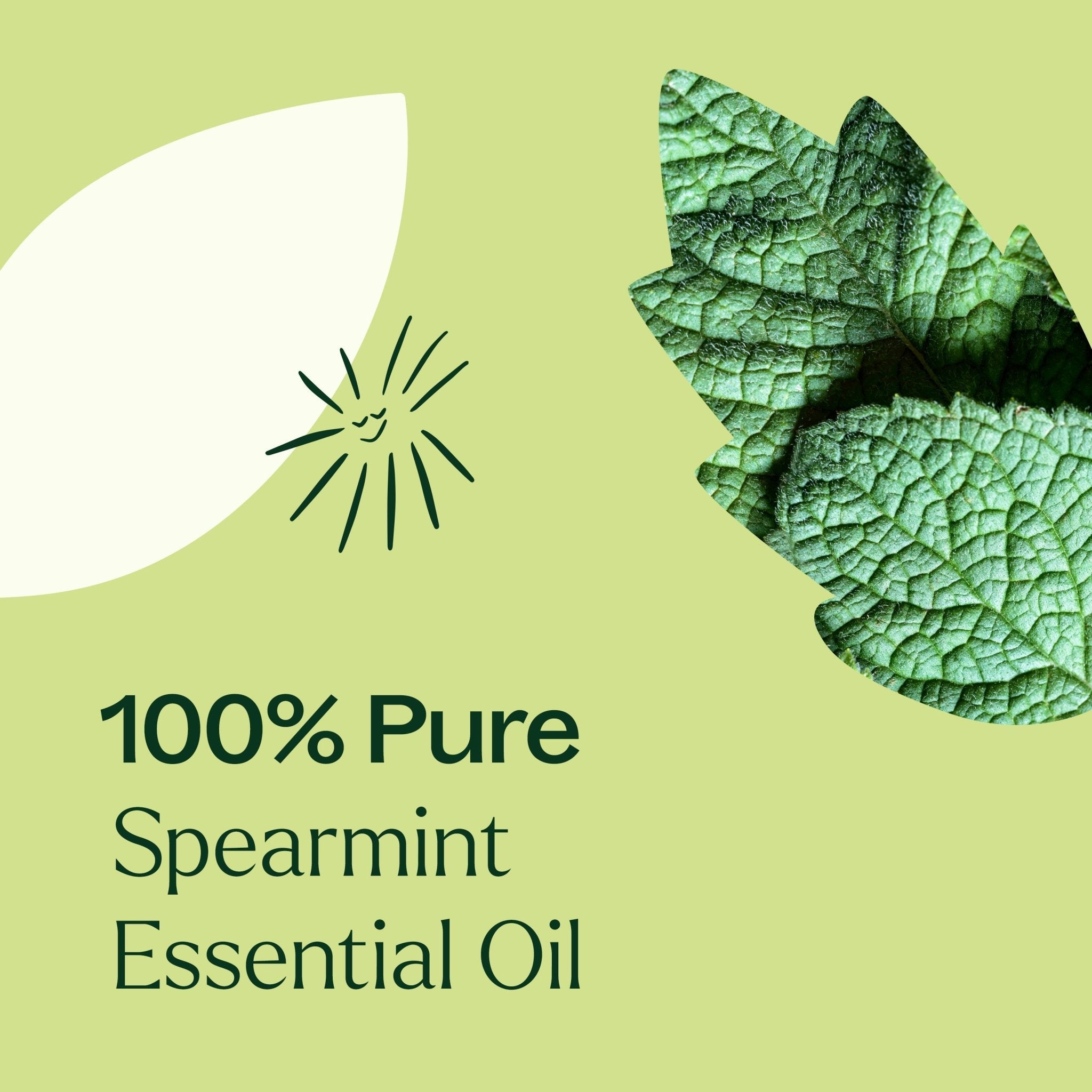 Spearmint Essential Oil Plant Therapy