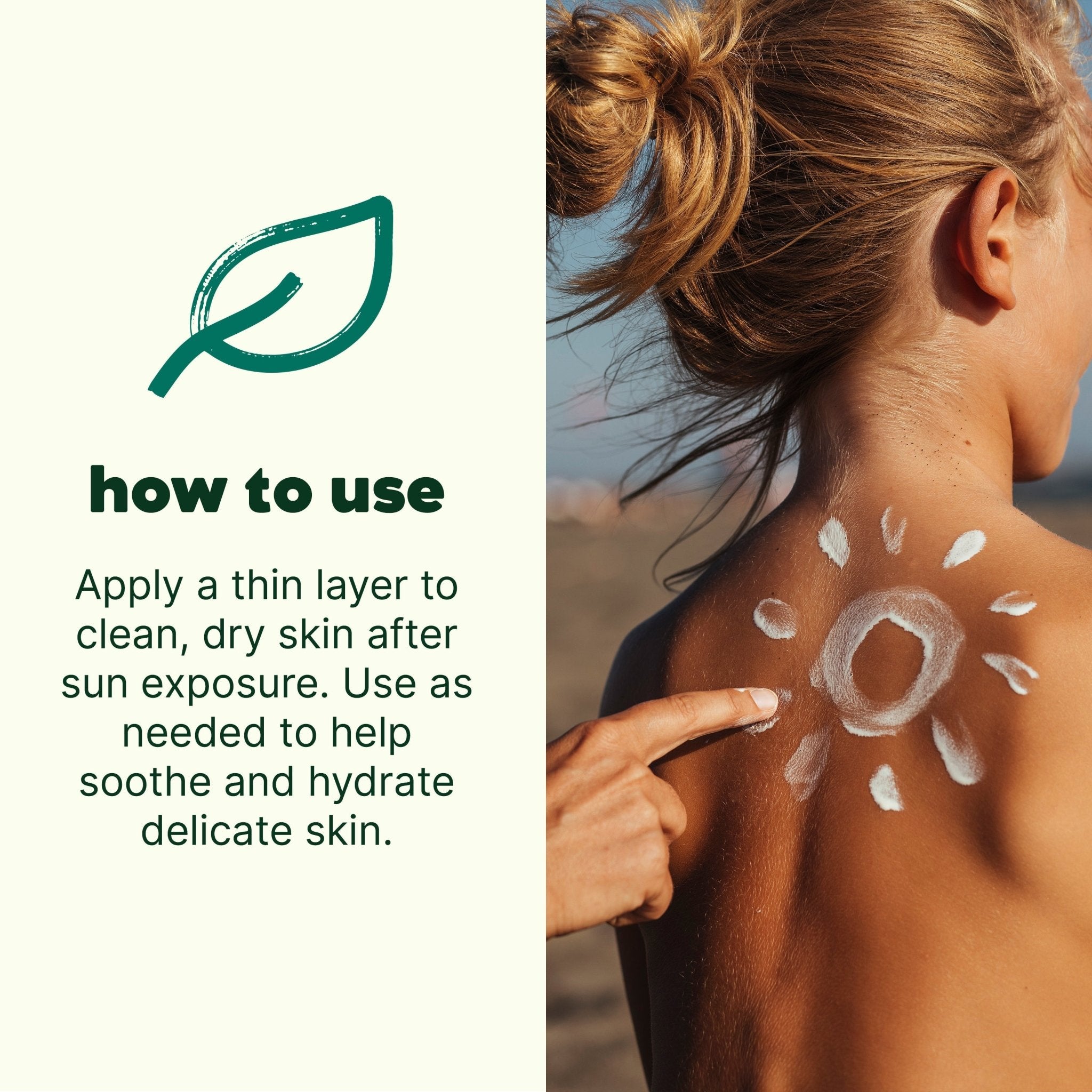 Sun Relief Aloe Jelly Plant Therapy