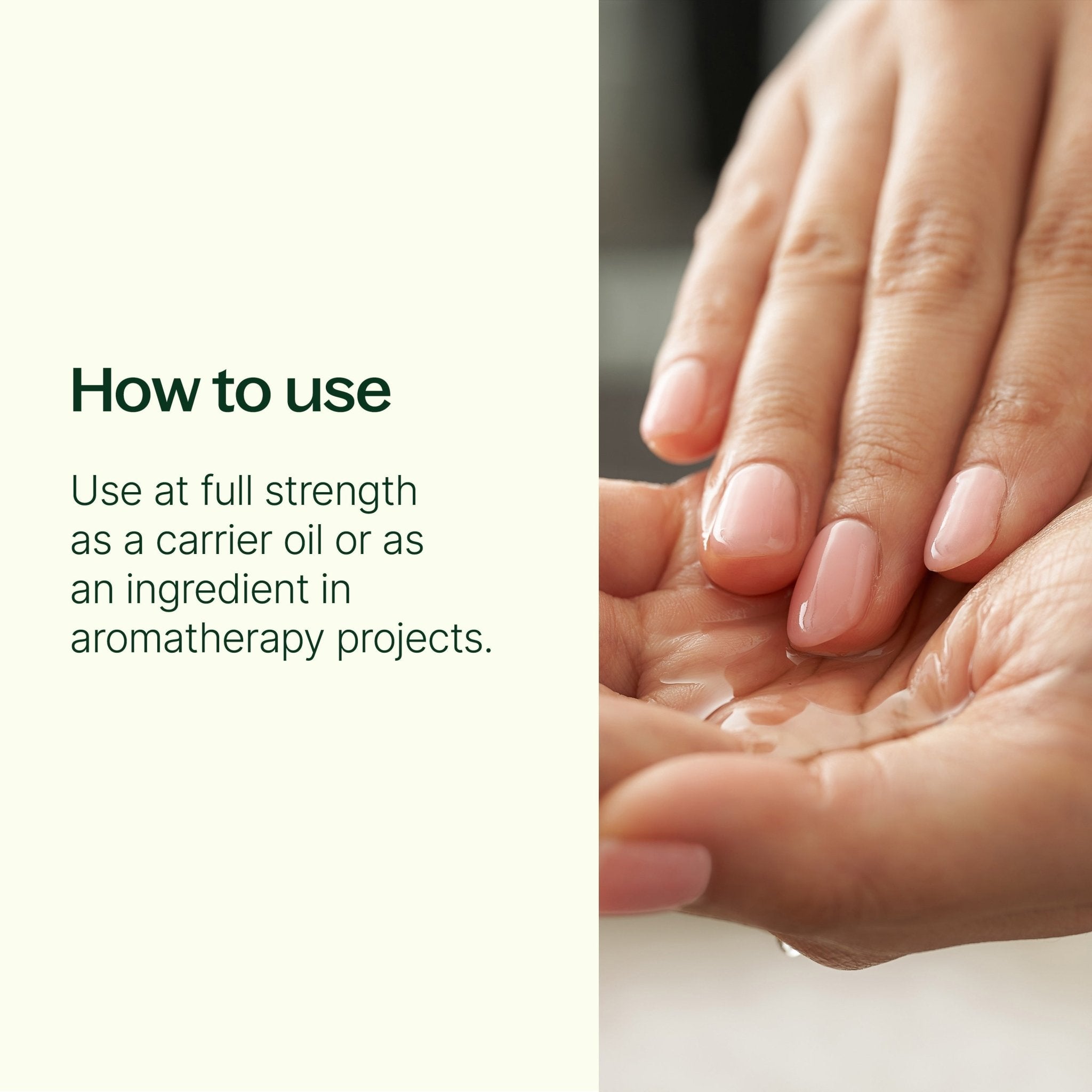 Sweet Almond Carrier Oil Plant Therapy