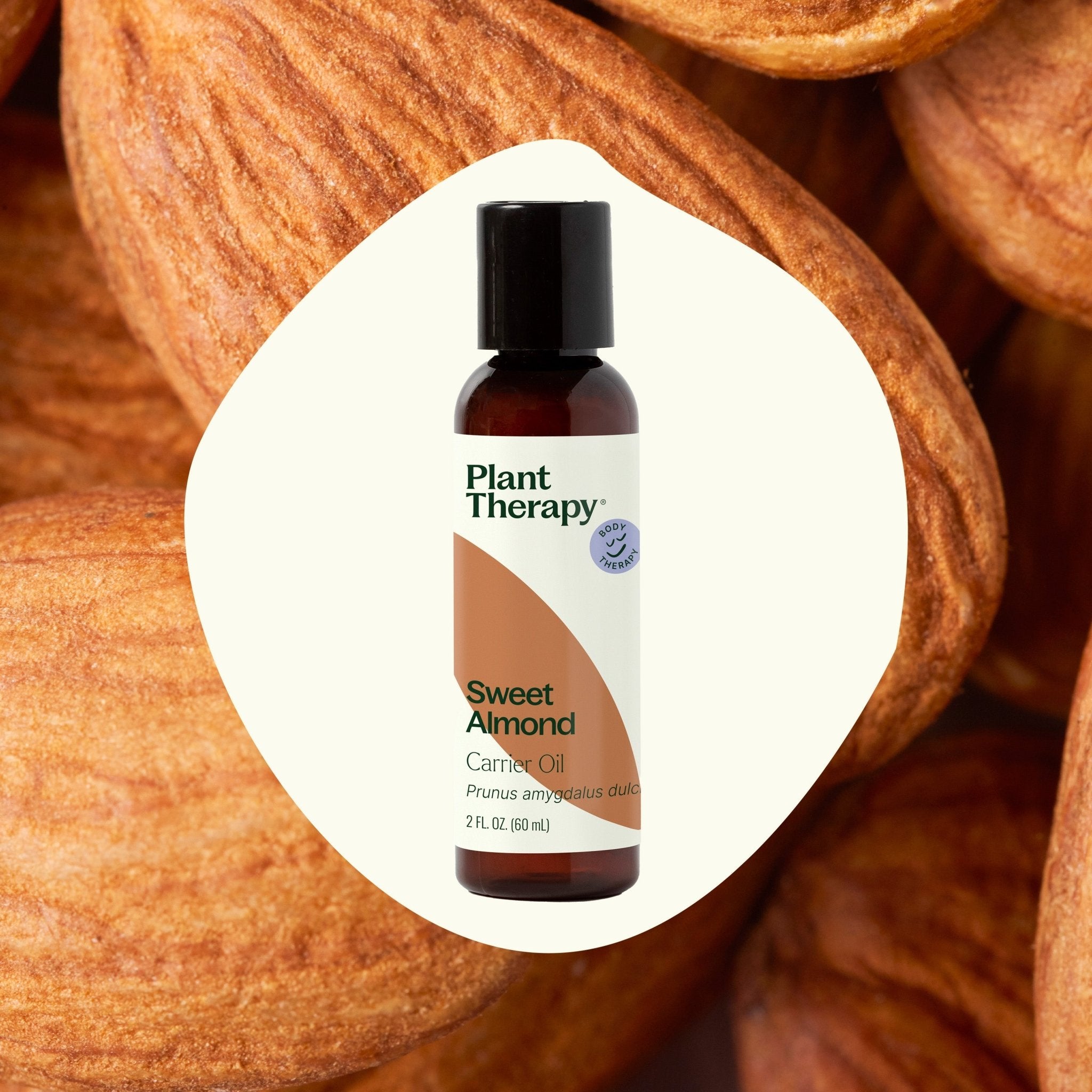 Sweet Almond Carrier Oil Plant Therapy
