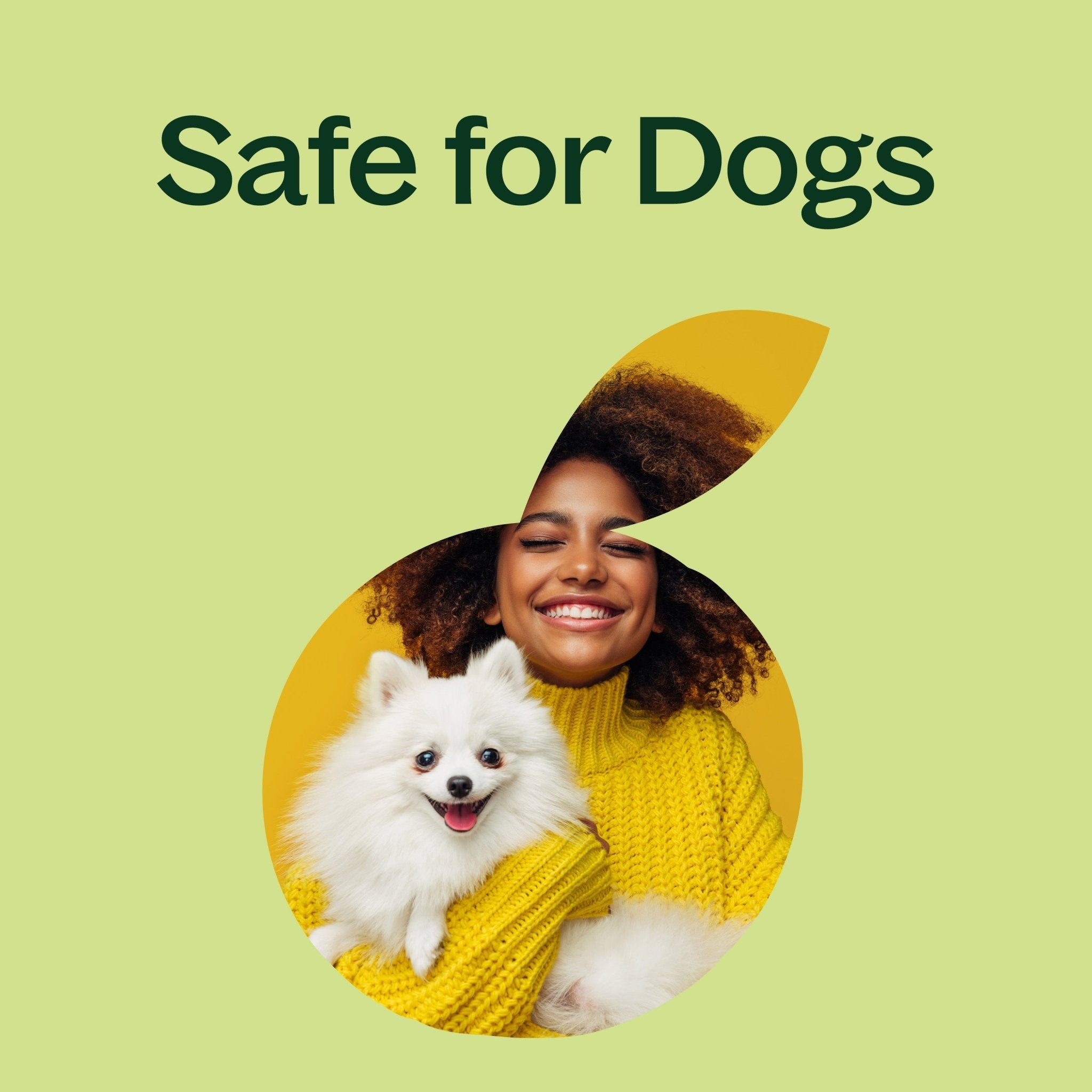 Sweet Fennel Essential Oil Plant Therapy