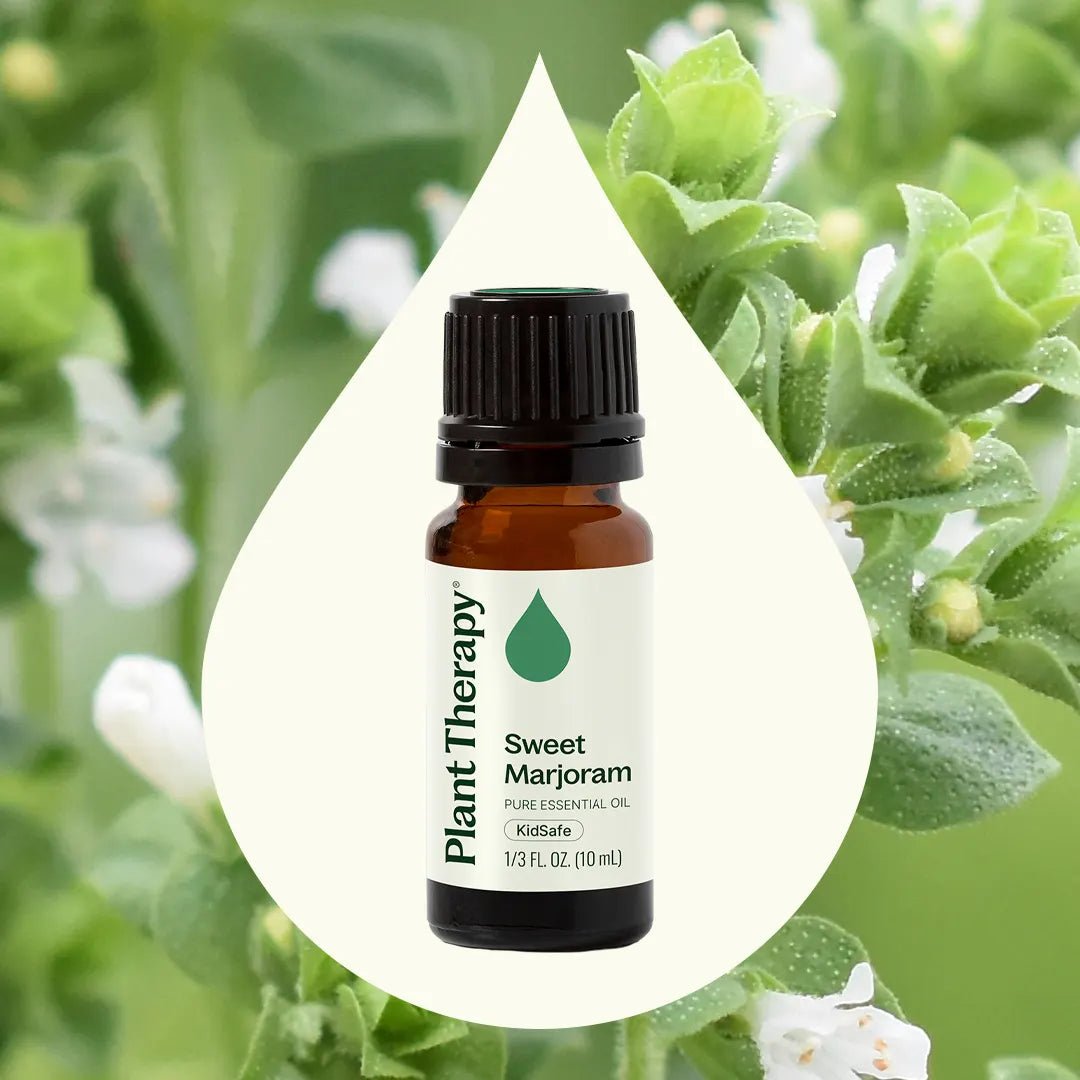 Sweet Marjoram Essential Oil Plant Therapy
