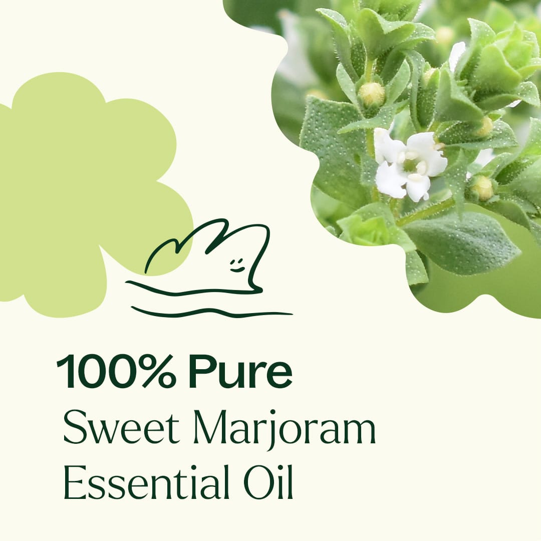Sweet Marjoram Essential Oil Plant Therapy