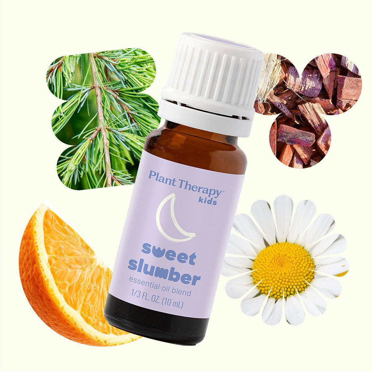 Sweet Slumber Essential Oil Plant Therapy
