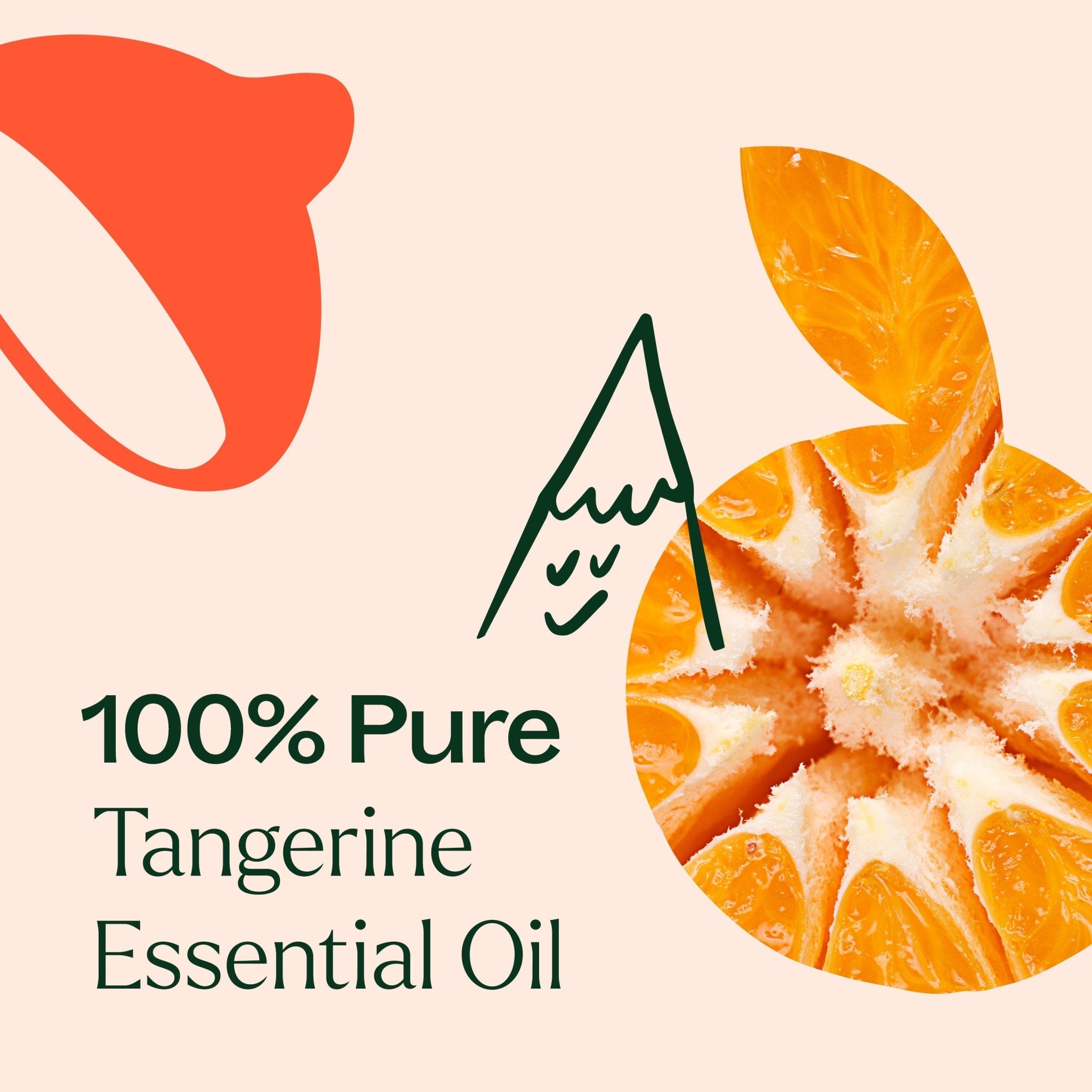 Tangerine Essential Oil Plant Therapy
