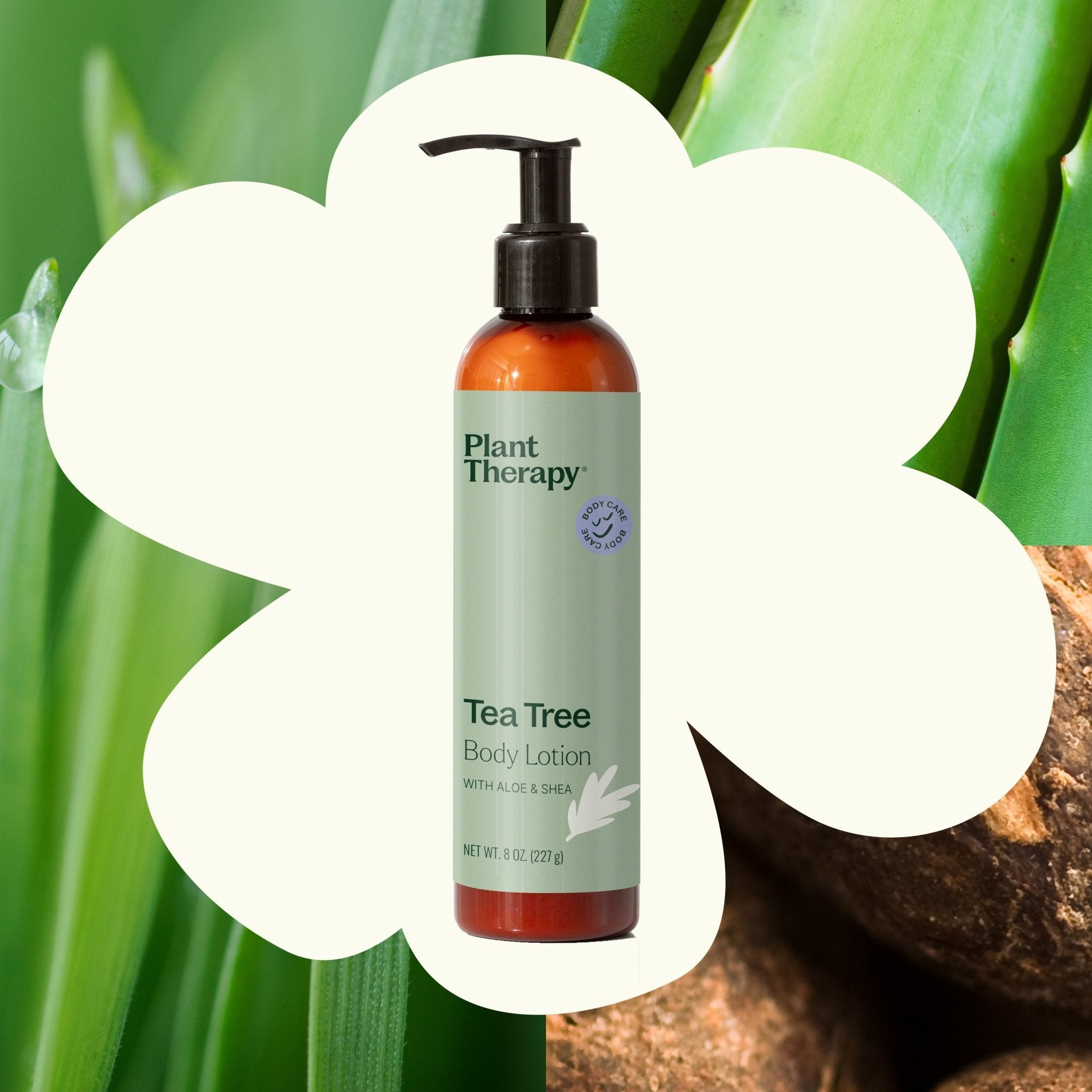 Tea Tree Body Lotion with Aloe and Shea Plant Therapy