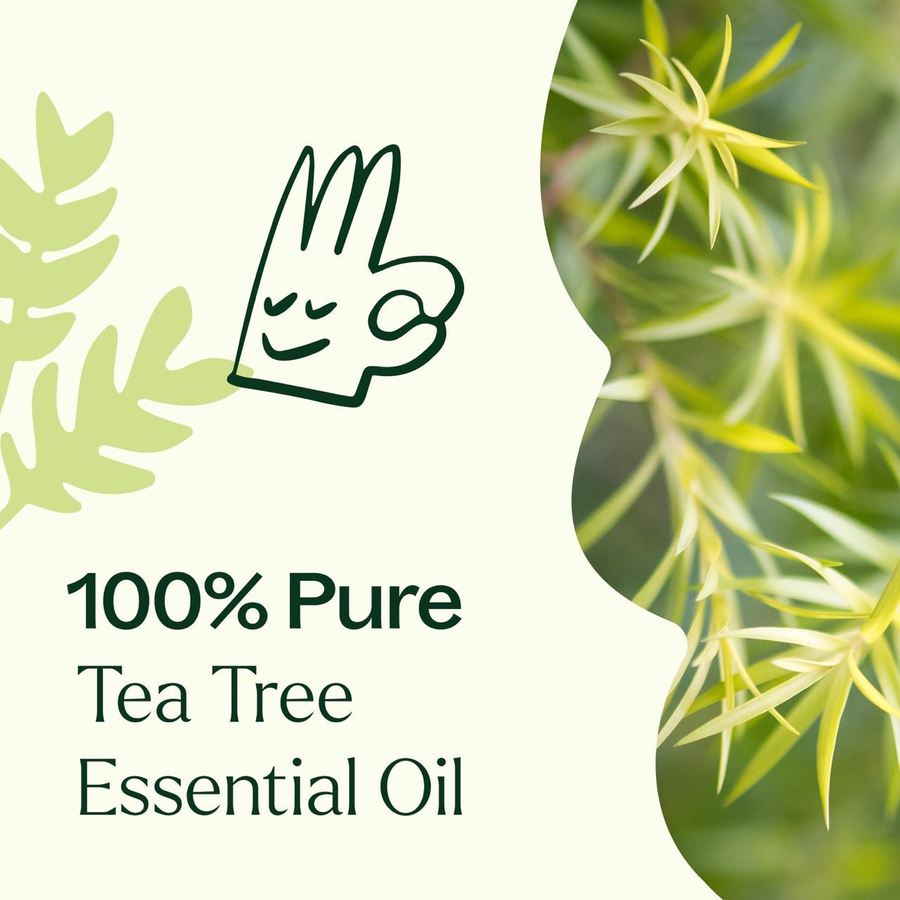 Tea Tree Essential Oil Plant Therapy