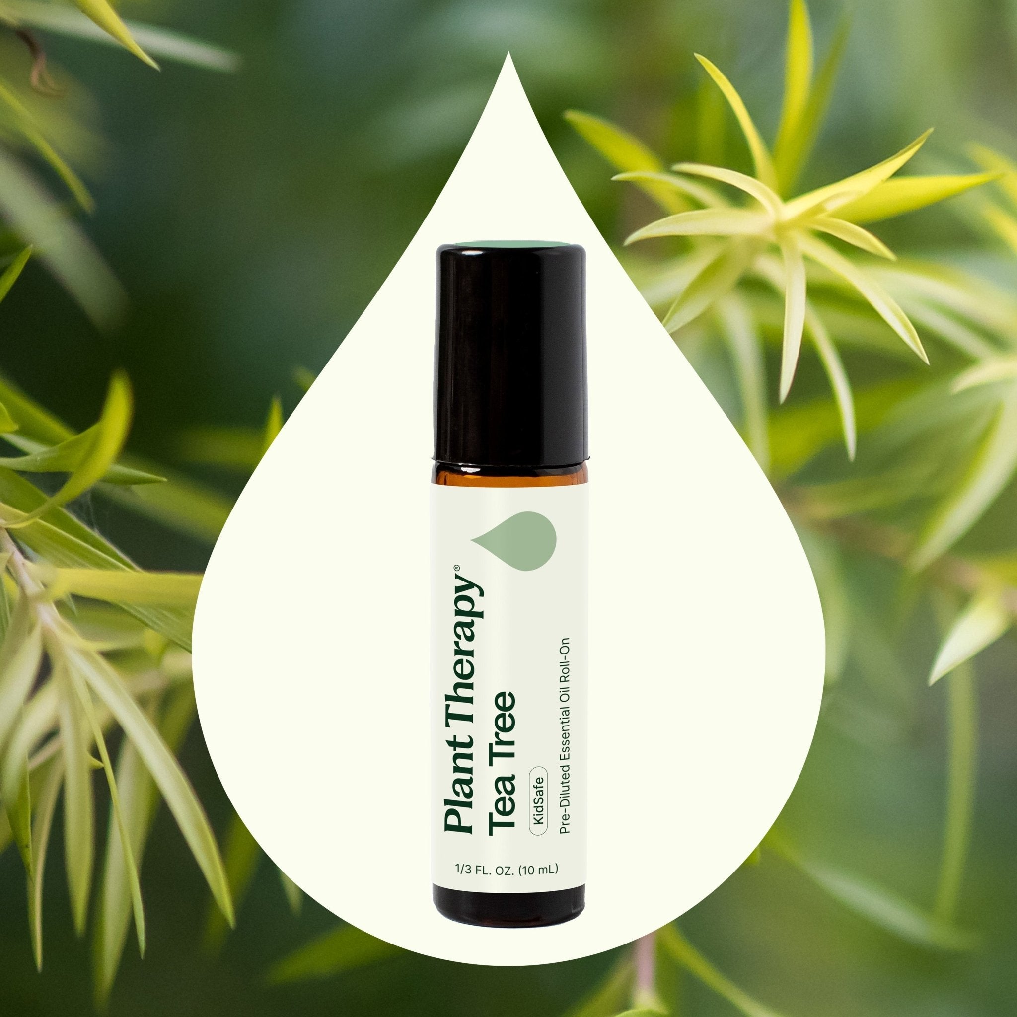 Tea Tree Essential Oil Pre - Diluted Roll - On Plant Therapy