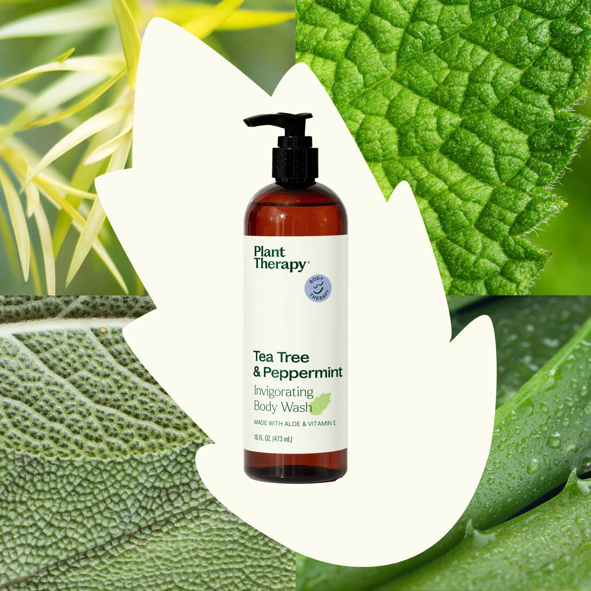 Tea Tree & Peppermint Body Wash Plant Therapy