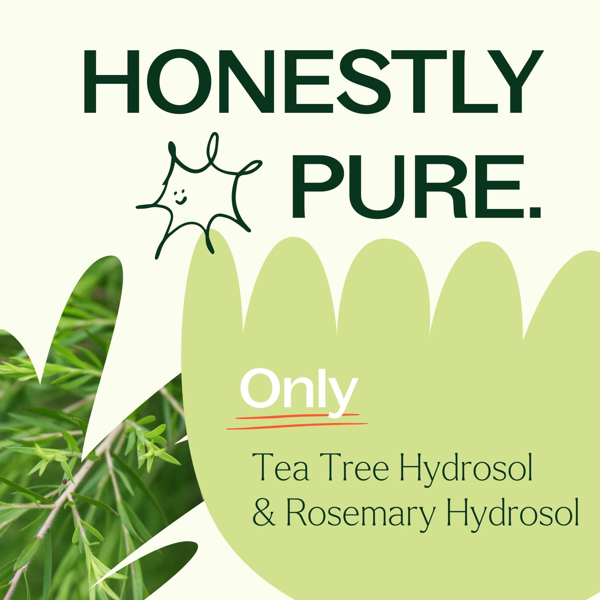 Tea Tree & Rosemary Facial Mist Plant Therapy