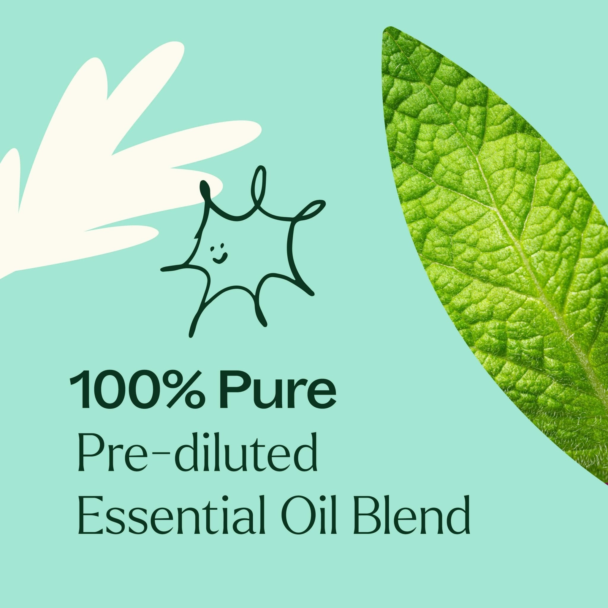 Tension Relief Essential Oil Blend Pre - Diluted Roll - On Plant Therapy