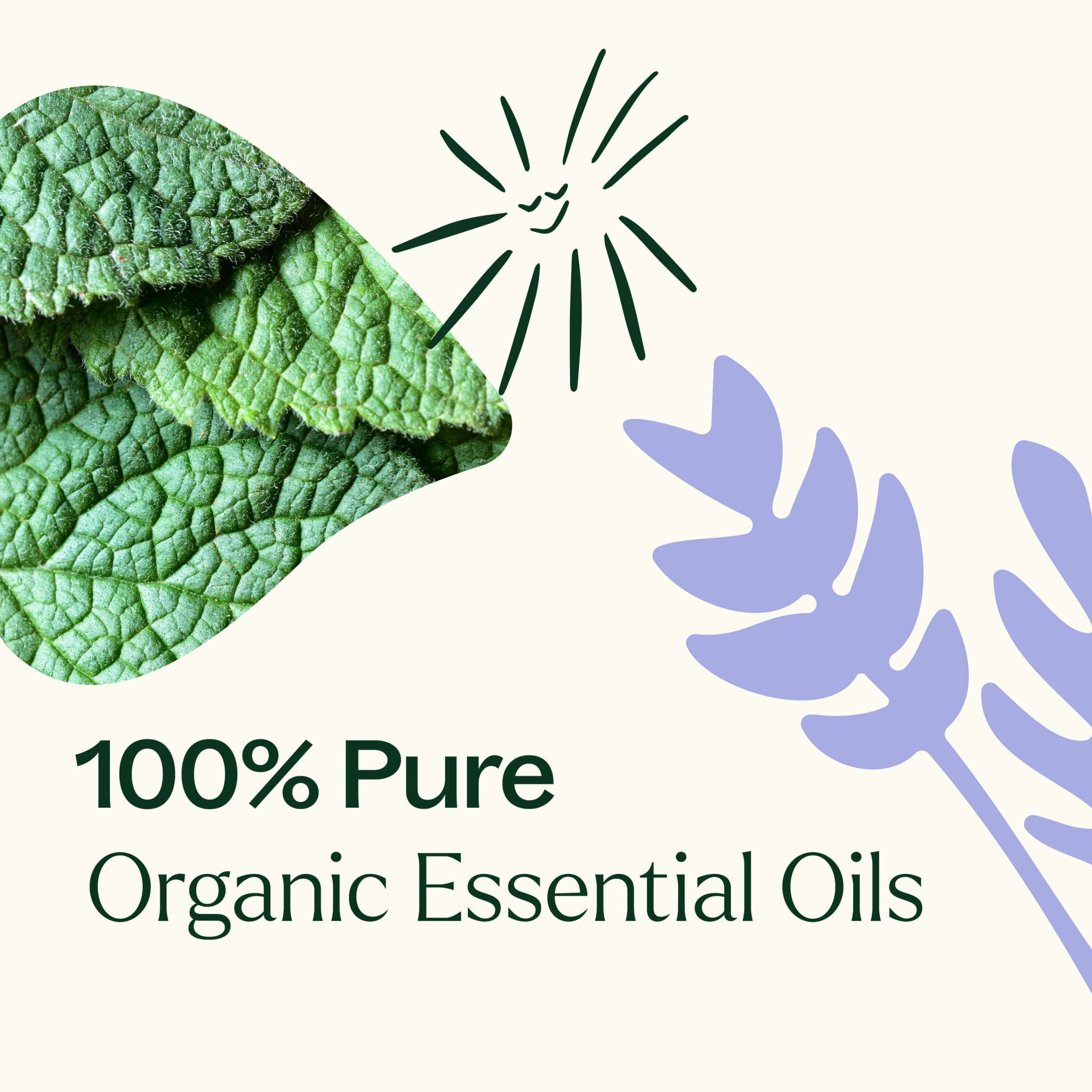 Top 3 Organic Singles Set Plant Therapy