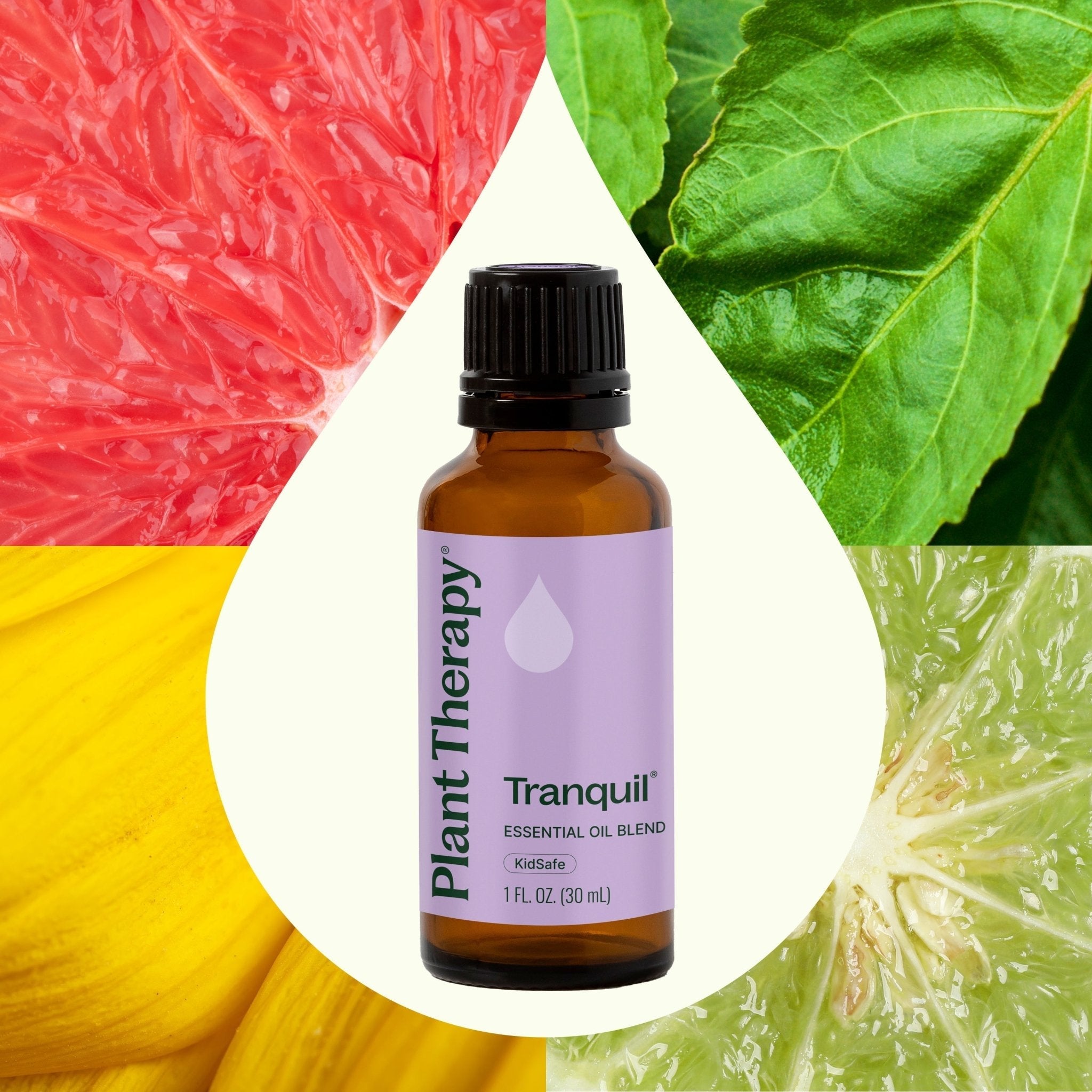 Tranquil ®️ Essential Oil Blend Plant Therapy