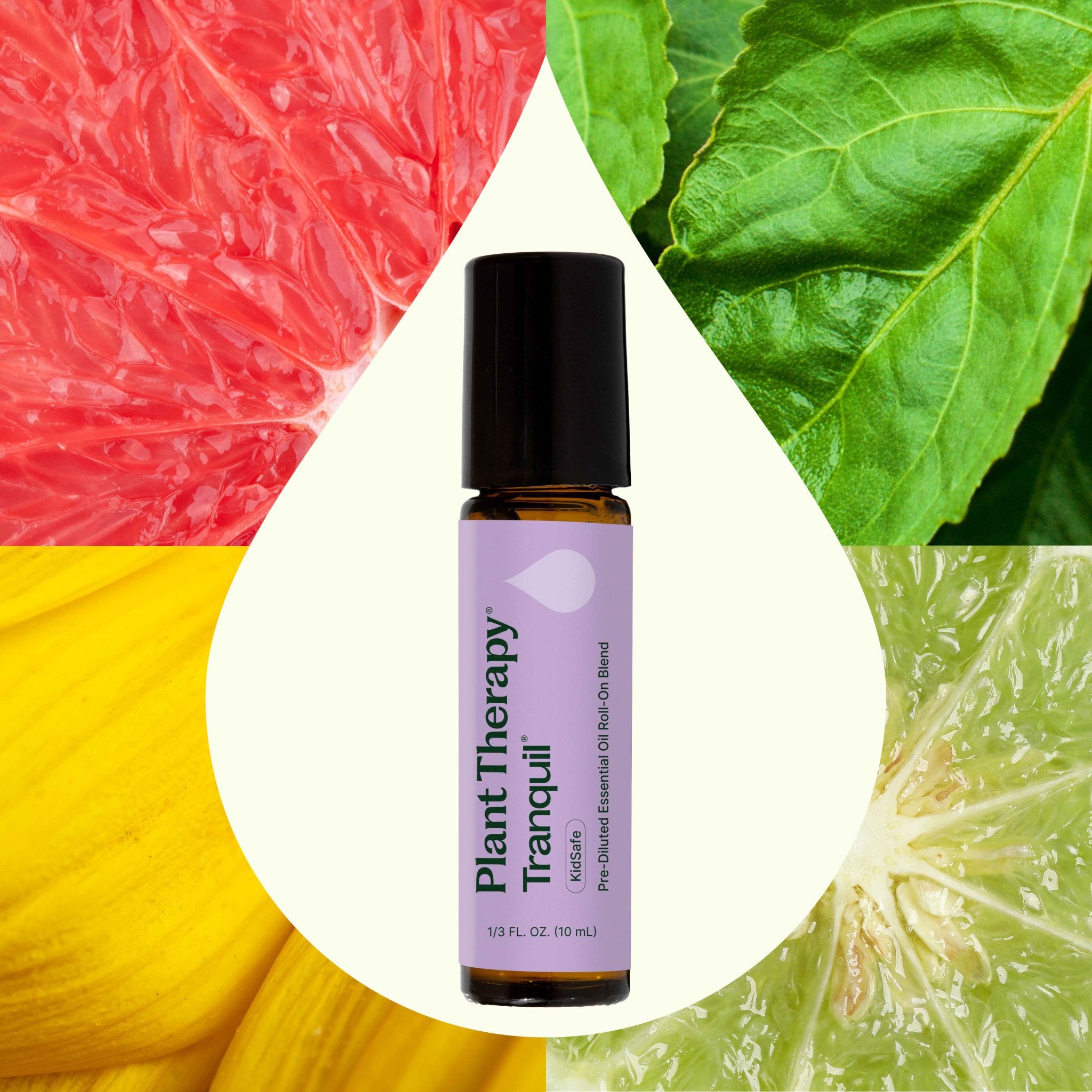 Tranquil ®️ Essential Oil Blend Pre - Diluted Roll - On Plant Therapy