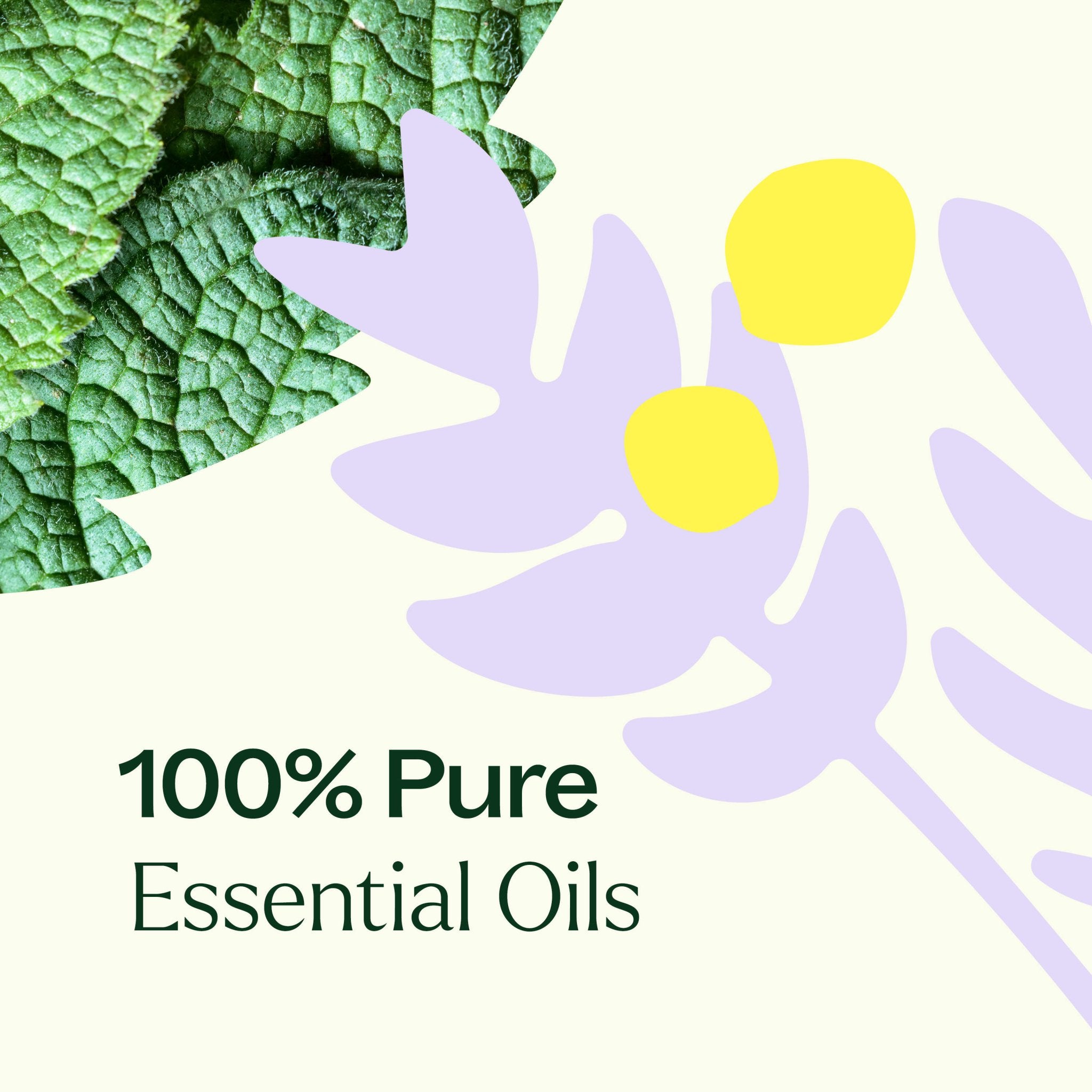 True Expression (Throat Chakra) Essential Oil Plant Therapy