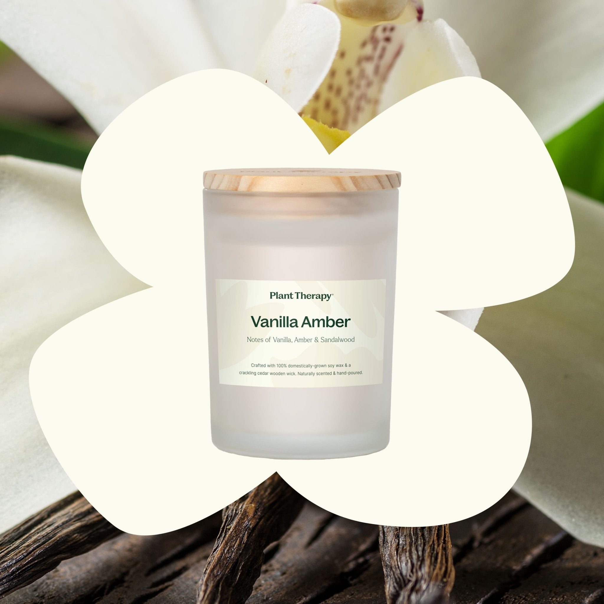 Vanilla Amber Naturally Scented Candle Plant Therapy