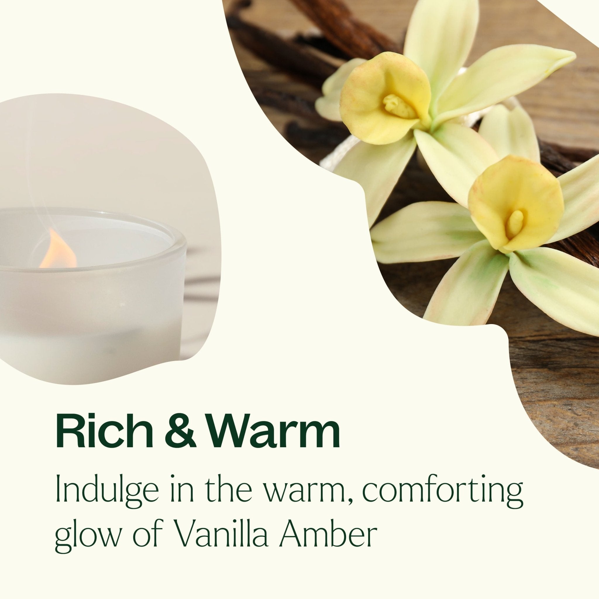 Vanilla Amber Naturally Scented Candle Plant Therapy