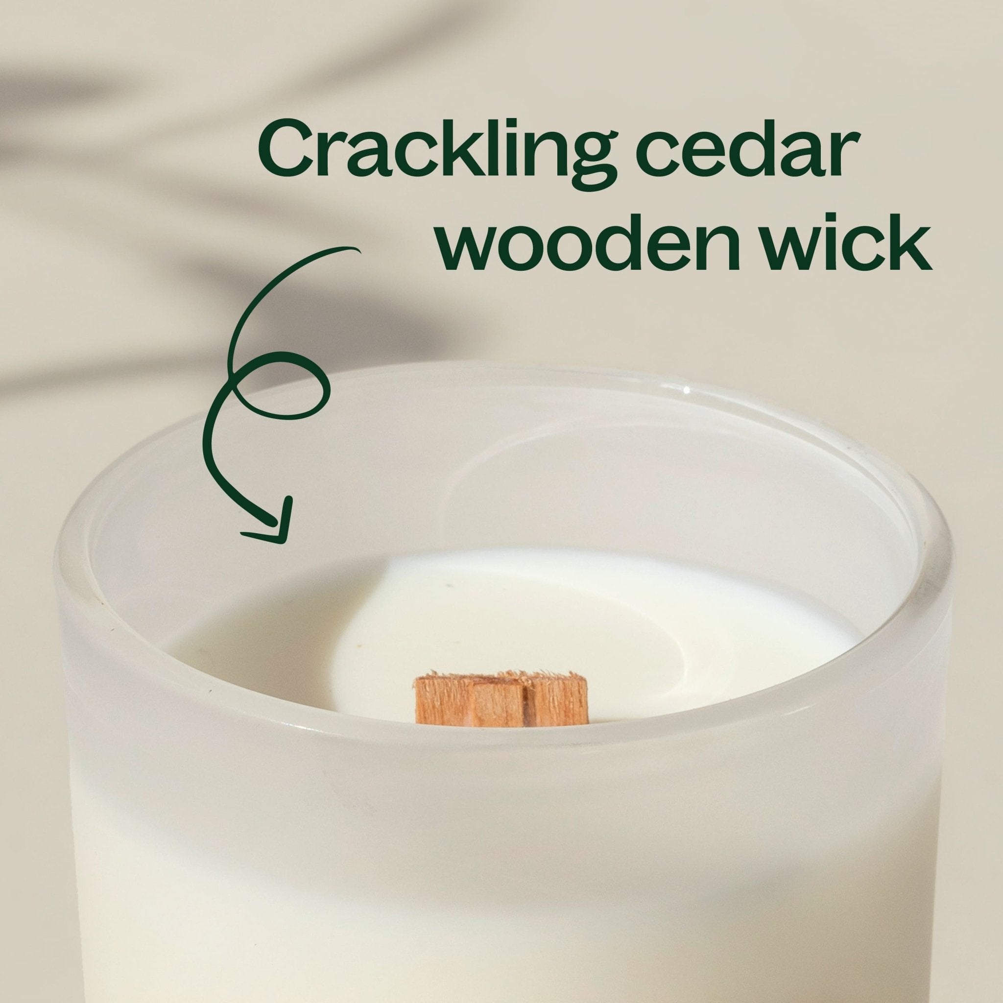 Vanilla Amber Naturally Scented Candle Plant Therapy