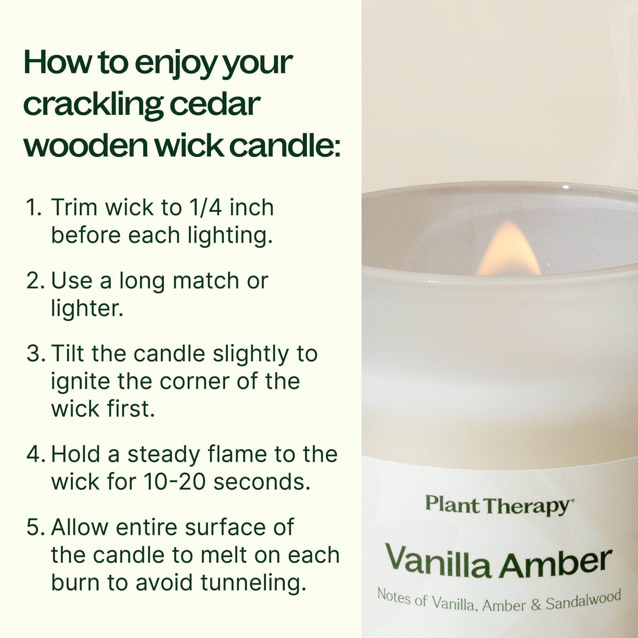 Vanilla Amber Naturally Scented Candle Plant Therapy