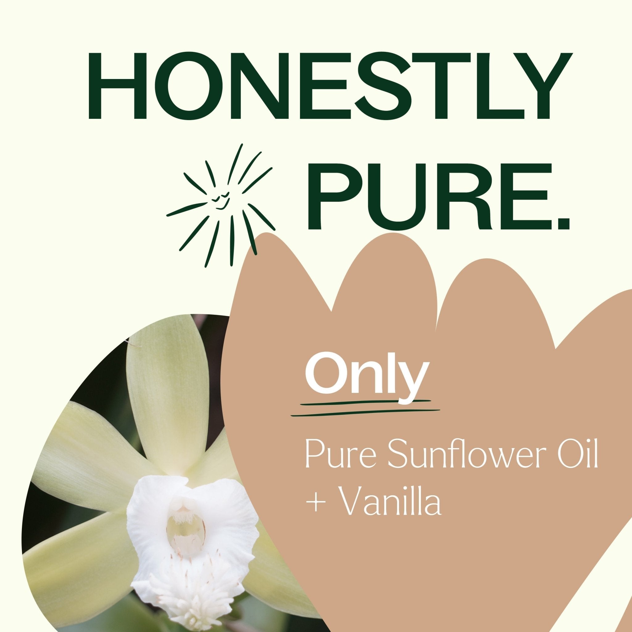 Vanilla Body Oil Plant Therapy