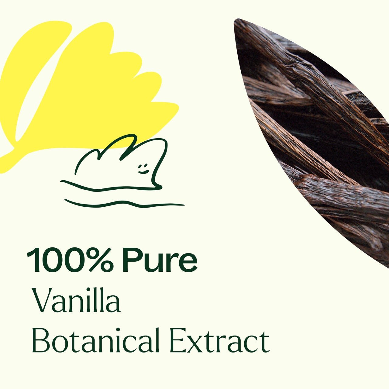 Vanilla Botanical Extract Plant Therapy