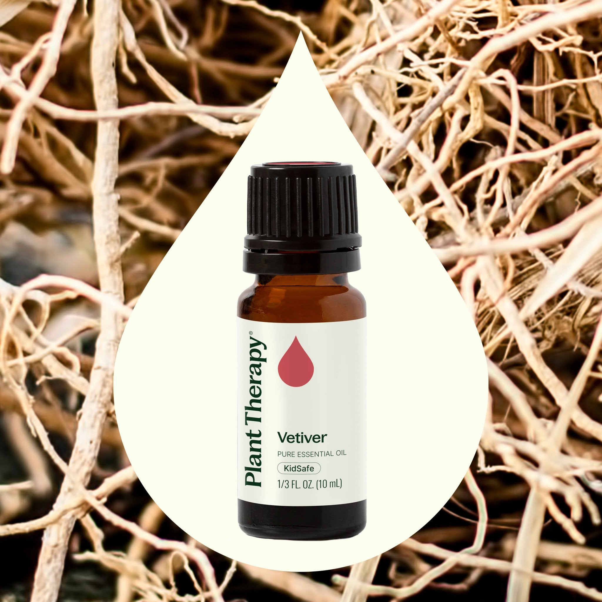 Vetiver Essential Oil Plant Therapy