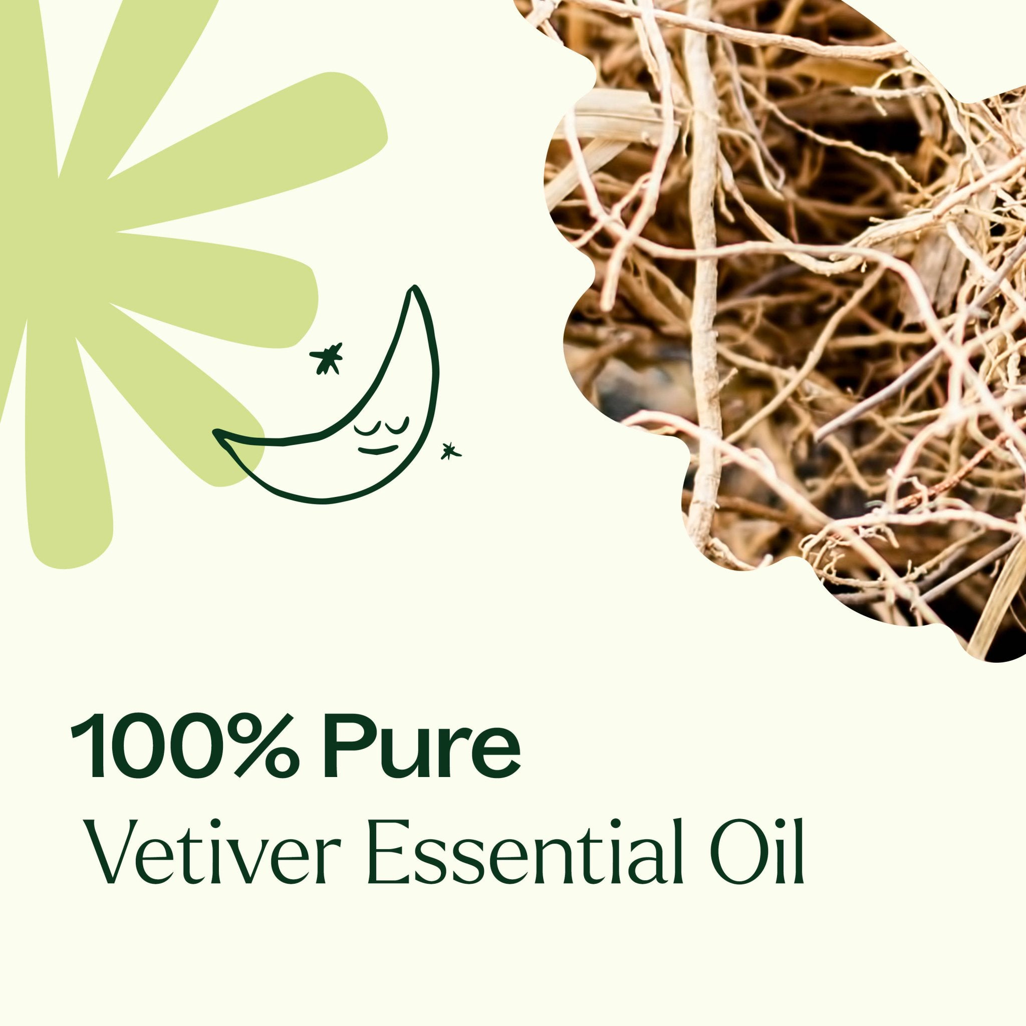Vetiver Essential Oil Plant Therapy