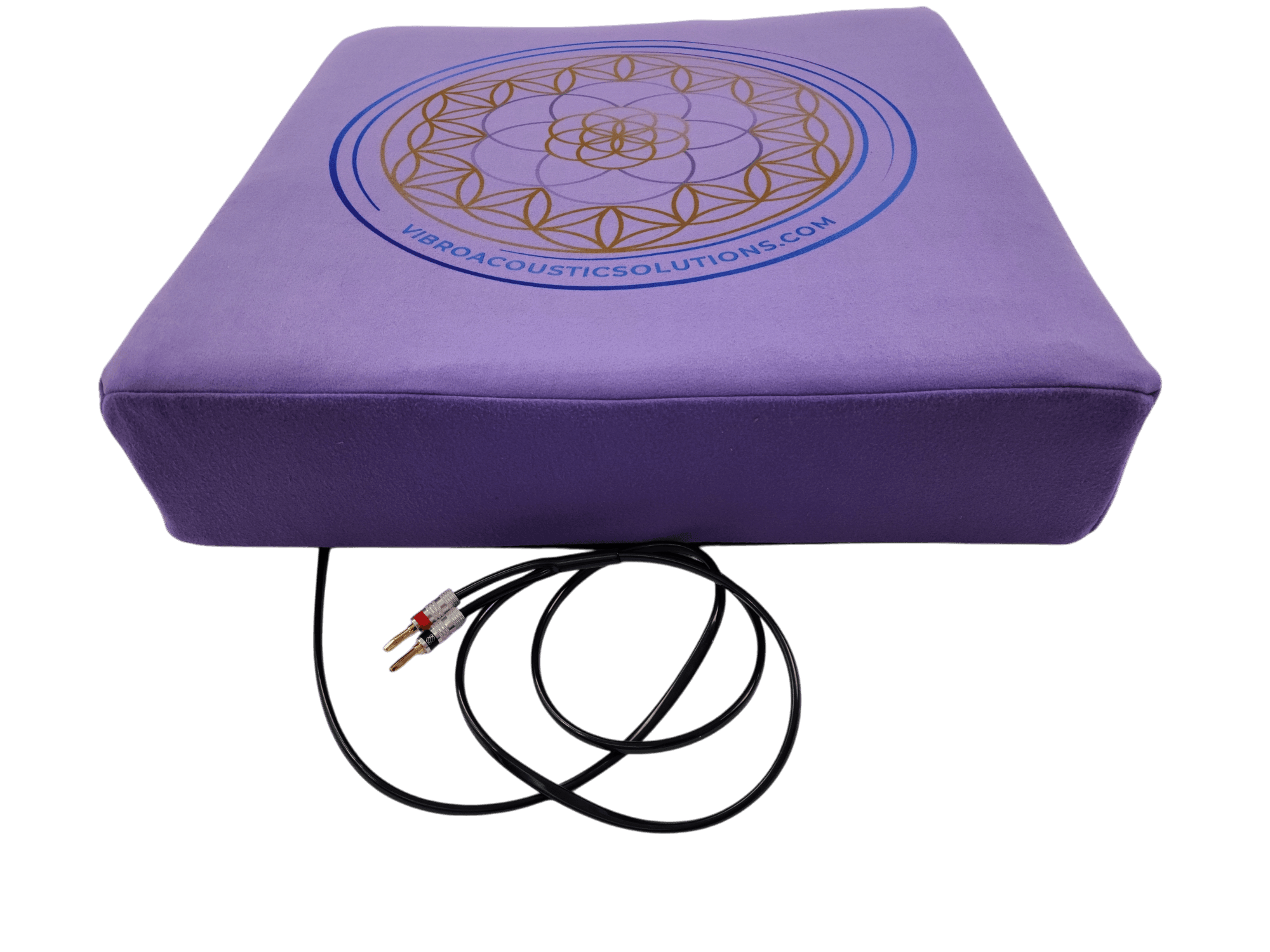 Vibroacoustic Therapy Meditation Cushion bundle with custom amplifier Vibroacoustic Solutions
