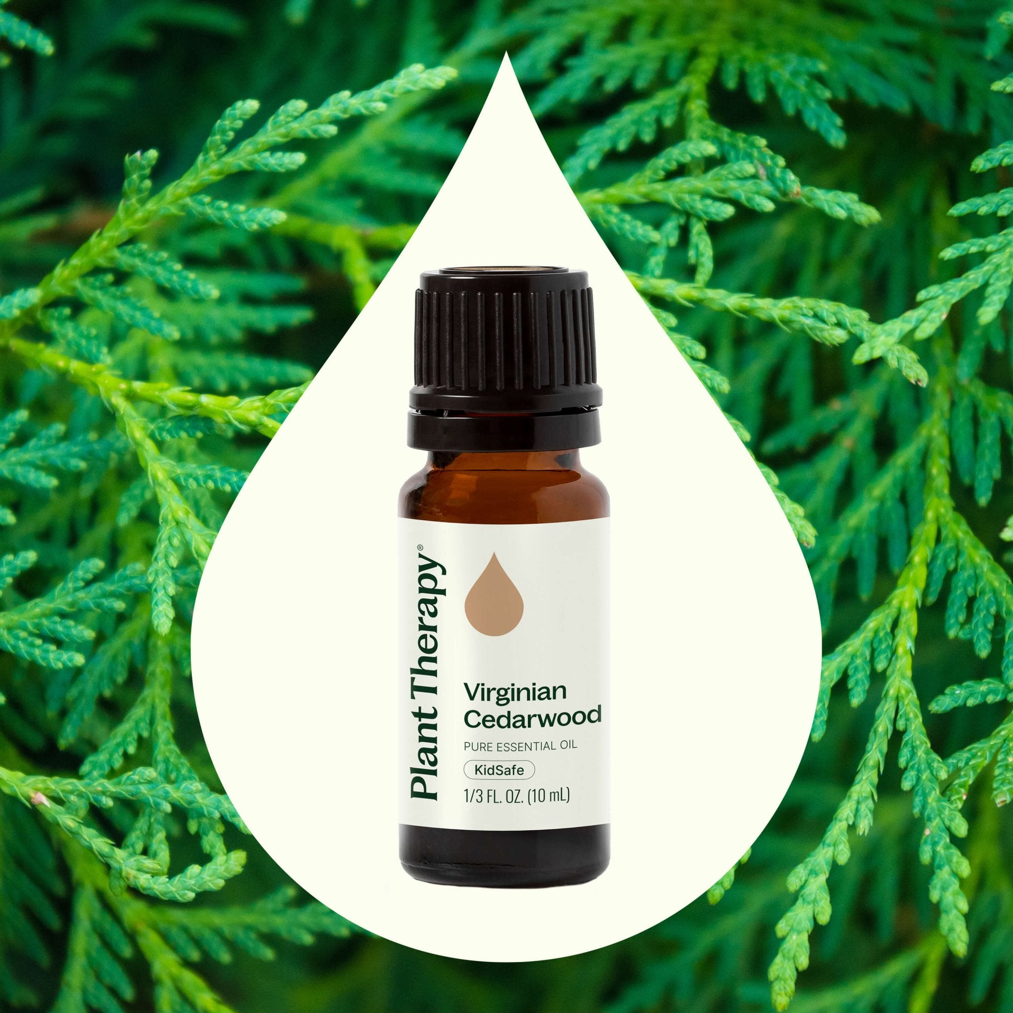 Virginian Cedarwood Essential Oil Plant Therapy