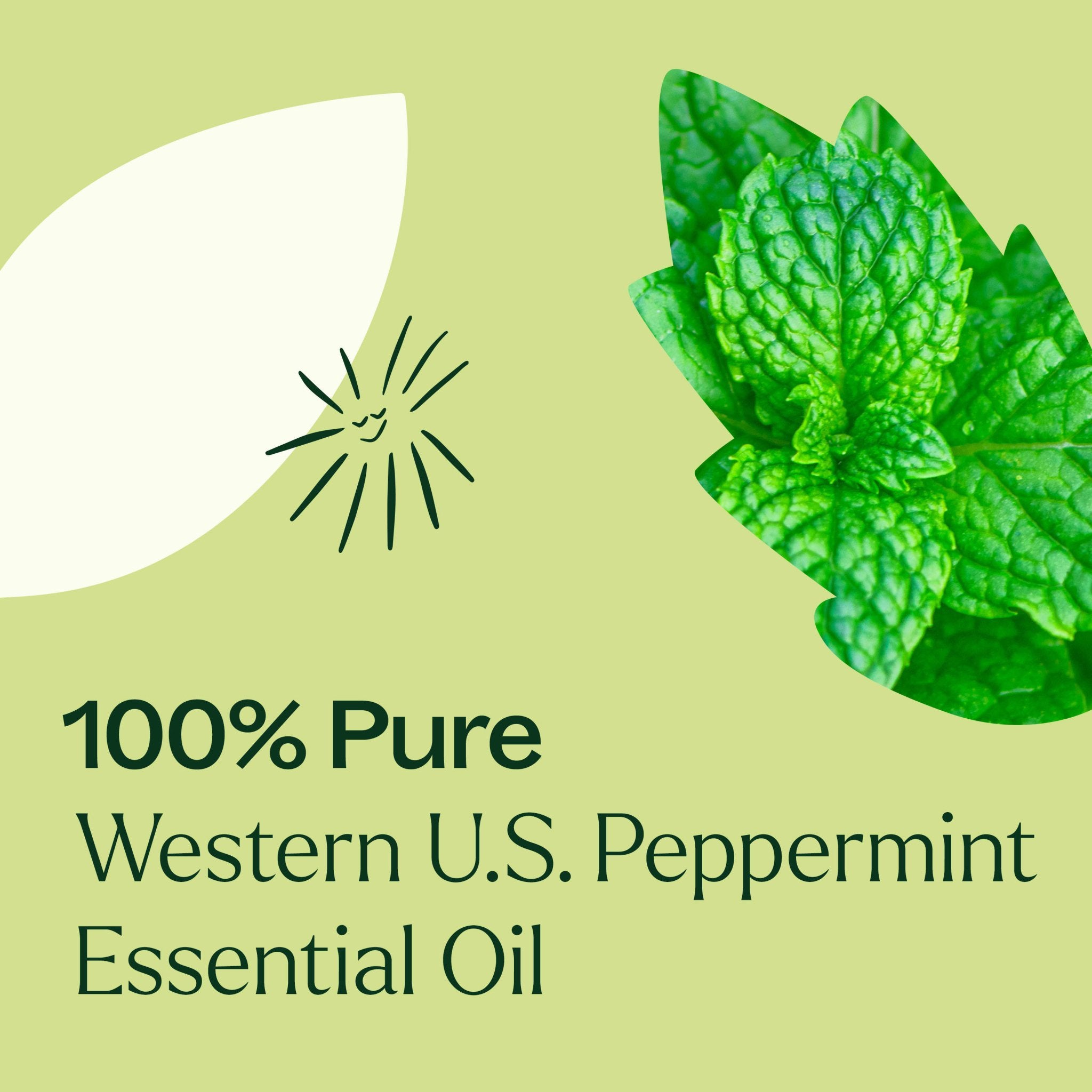 Western U.S. Peppermint Essential Oil Plant Therapy