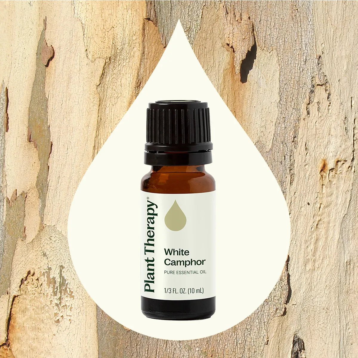 White Camphor Essential Oil Plant Therapy