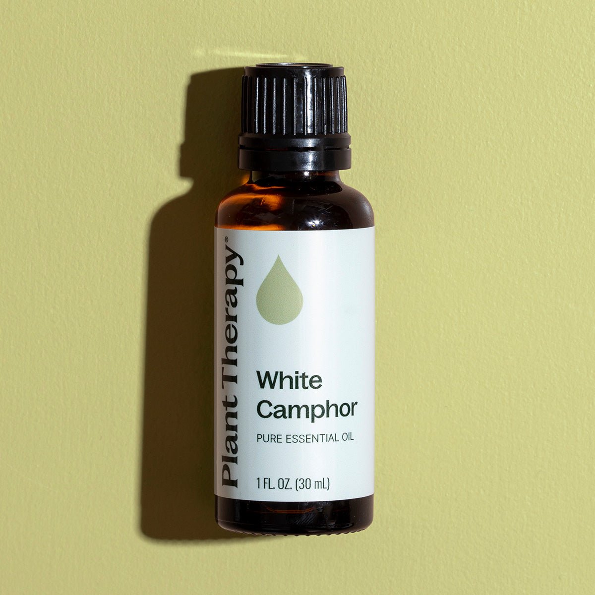 White Camphor Essential Oil Plant Therapy