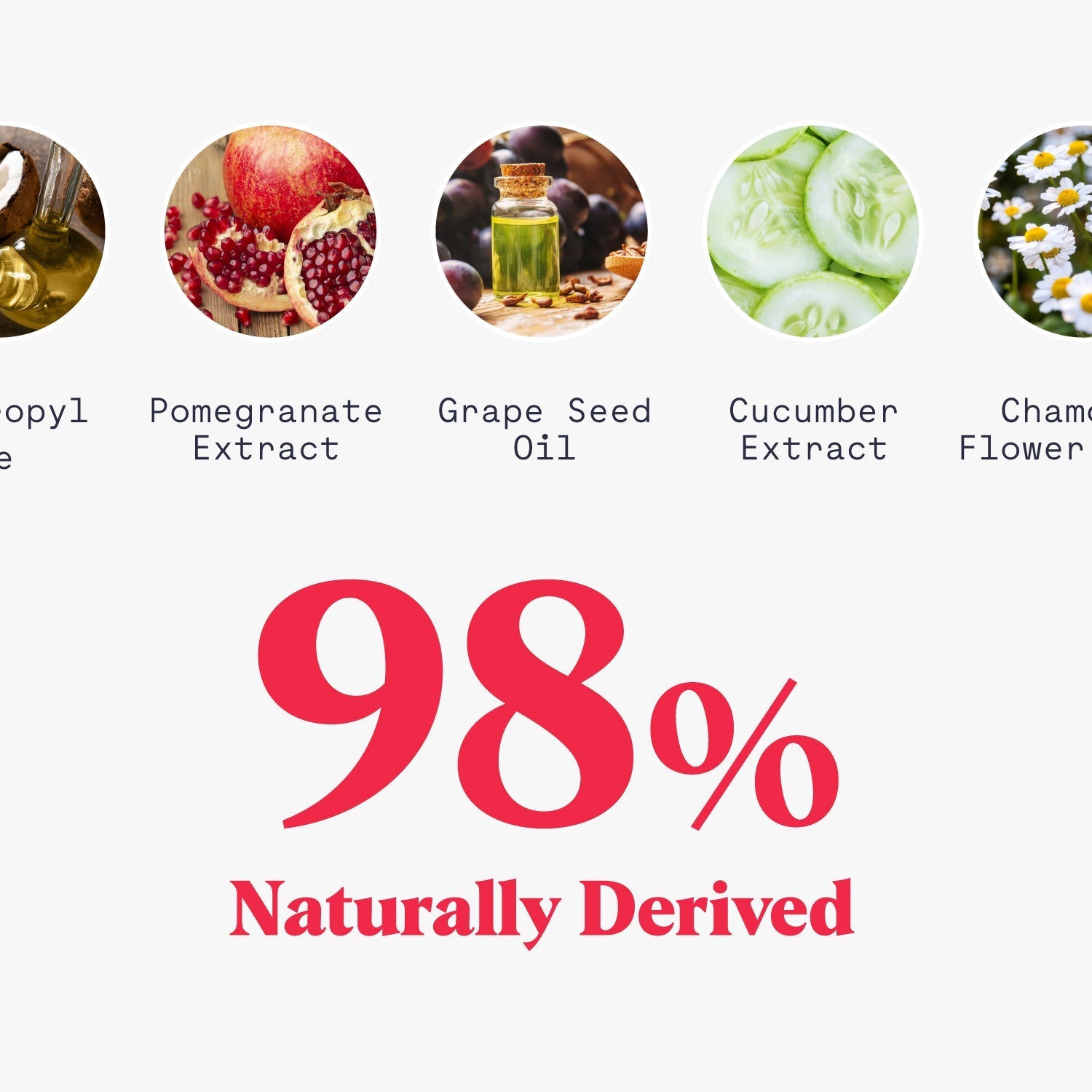 Whole Body Deodorant Wipes Duradry