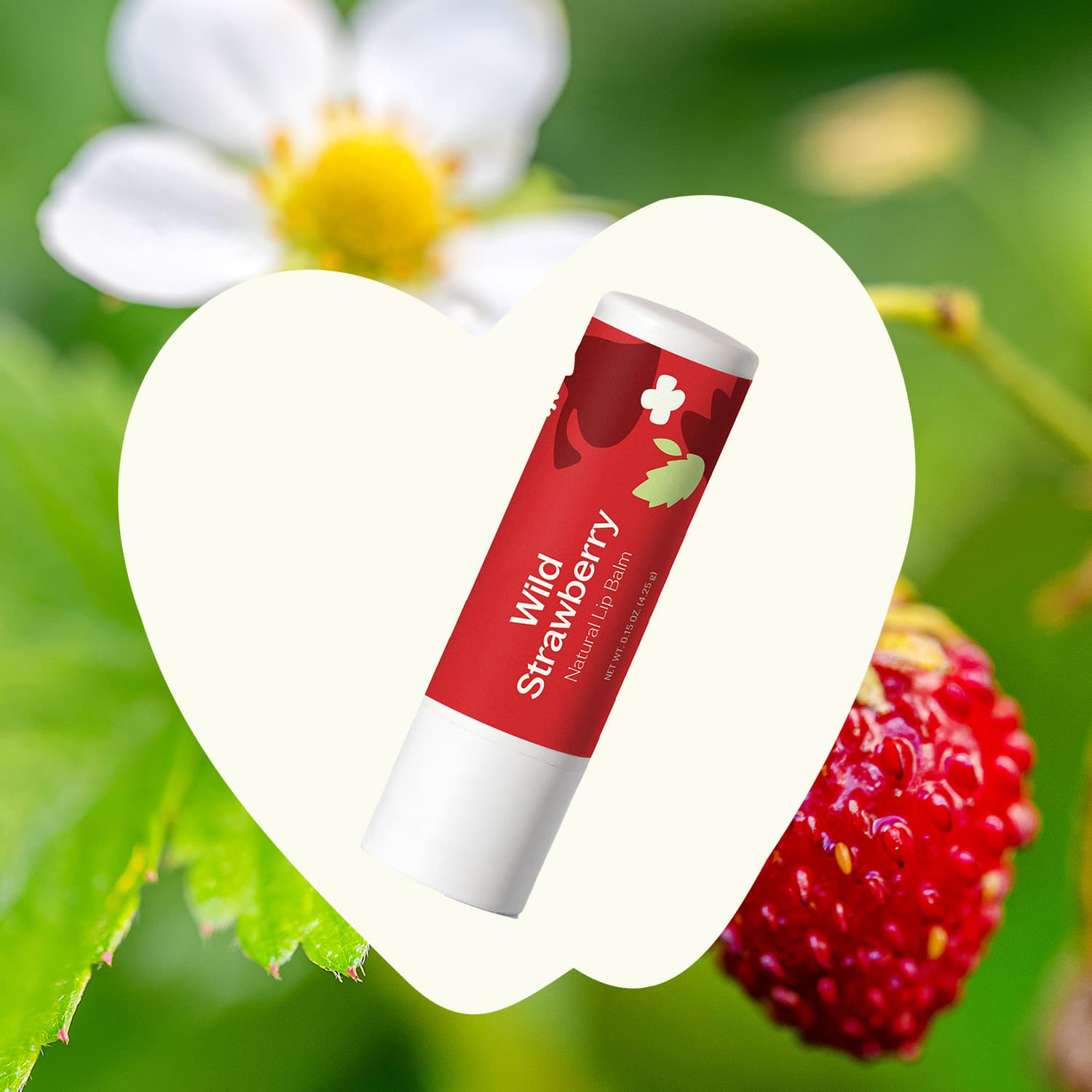 Wild Strawberry Natural Lip Balm Plant Therapy